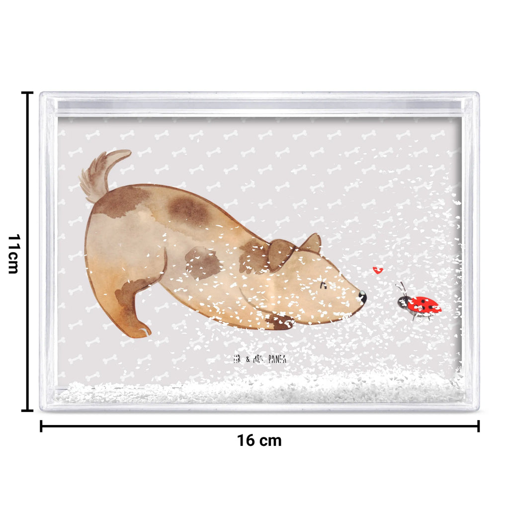 shake frame Dog ladybug Hund, Hundemotiv, Haustier, Hunderasse, Tierliebhaber, Hundebesitzer, Sprüche, Hunde, Hundespruch, Marienkäfer, Mischling, Mischlinghund