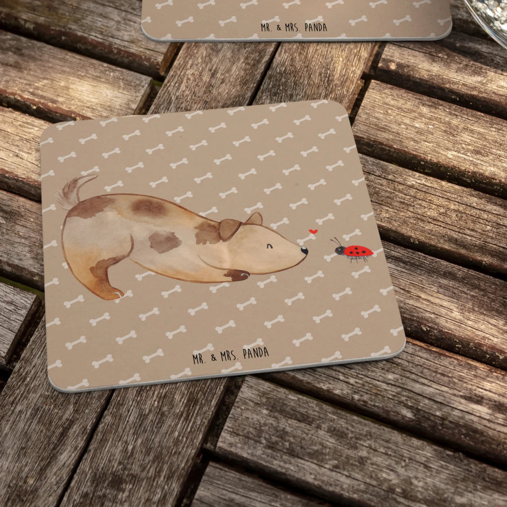 Bierdeckel Hund Marienkäfer Bierdeckel, Gastgeschenk Hochzeit, Tischdeko, Hund, Hundemotiv, Haustier, Hunderasse, Tierliebhaber, Hundebesitzer, Sprüche, Mischlinghund, Hundespruch, Marienkäfer, Hunde, Mischling