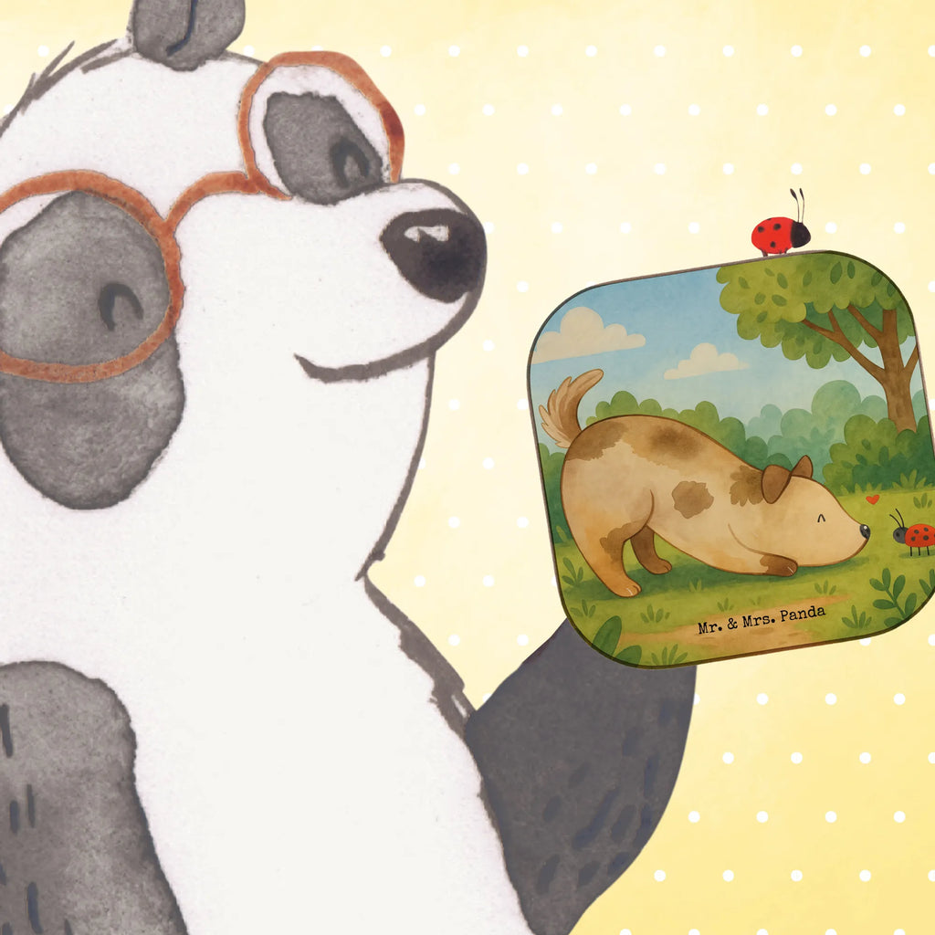 Square coaster Dog ladybug Design Untersetzer für Gläser, Untersetzer Holz, Untersetzer Gläser, Untersetzer aus Holz, Tassen Untersetzer, Glasuntersetzer, Getränkeuntersetzer, Bierdeckel, Untersetzer Design, Holzuntersetzer, Korkuntersetzer, Untersetzer, Hund, Hundemotiv, Haustier, Hunderasse, Tierliebhaber, Hundebesitzer, Sprüche, Hundespruch, Hunde, Mischlinghund, Mischling, Marienkäfer