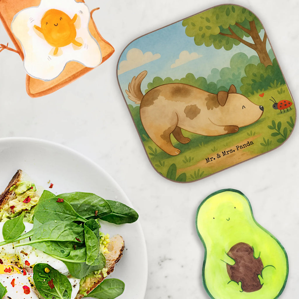 Square coaster Dog ladybug Design Untersetzer für Gläser, Untersetzer Holz, Untersetzer Gläser, Untersetzer aus Holz, Tassen Untersetzer, Glasuntersetzer, Getränkeuntersetzer, Bierdeckel, Untersetzer Design, Holzuntersetzer, Korkuntersetzer, Untersetzer, Hund, Hundemotiv, Haustier, Hunderasse, Tierliebhaber, Hundebesitzer, Sprüche, Hundespruch, Hunde, Mischlinghund, Mischling, Marienkäfer