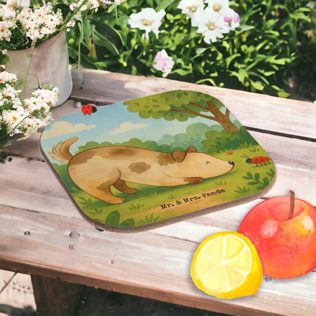 Square coaster Dog ladybug Design Untersetzer für Gläser, Untersetzer Holz, Untersetzer Gläser, Untersetzer aus Holz, Tassen Untersetzer, Glasuntersetzer, Getränkeuntersetzer, Bierdeckel, Untersetzer Design, Holzuntersetzer, Korkuntersetzer, Untersetzer, Hund, Hundemotiv, Haustier, Hunderasse, Tierliebhaber, Hundebesitzer, Sprüche, Hundespruch, Hunde, Mischlinghund, Mischling, Marienkäfer