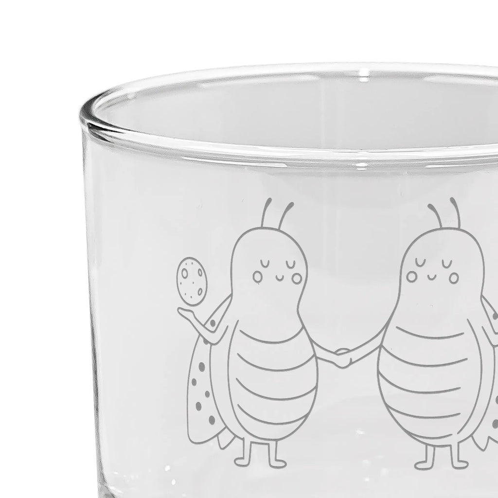 Personalized Gin Glass Star sign twin constellations, birthdays, astrology, zodiac, date of birth, month of birth, gift may, ladybird, twin brother, gift june, lucky beetle, twin zodiac sign, twin sister, twins, birthday may, twin gift