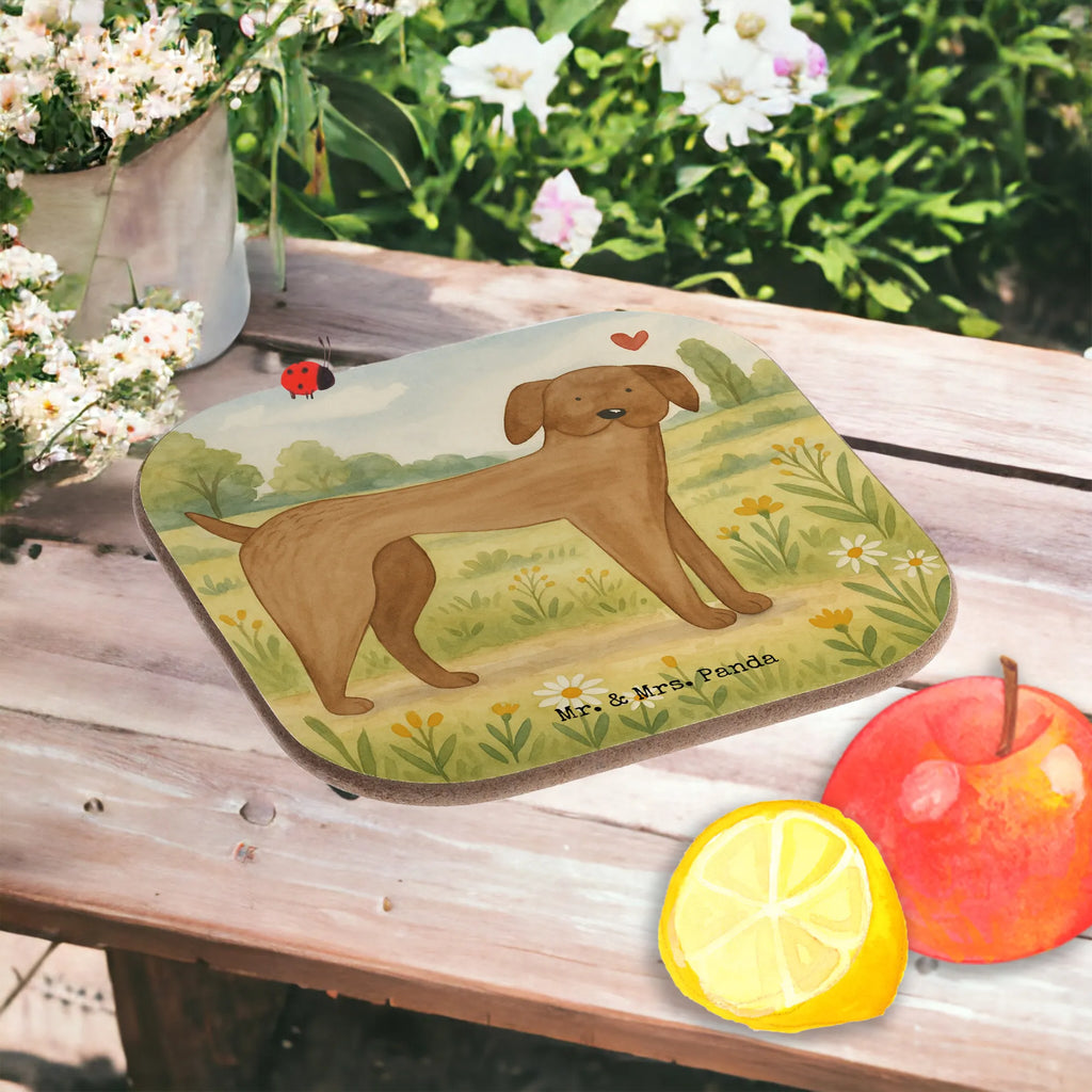 Untersetzer Hund Dogge Design Untersetzer, Bierdeckel, Glasuntersetzer, Untersetzer Gläser, Getränkeuntersetzer, Untersetzer aus Holz, Untersetzer für Gläser, Korkuntersetzer, Untersetzer Holz, Holzuntersetzer, Tassen Untersetzer, Untersetzer Design, Hund, Hundemotiv, Haustier, Hunderasse, Tierliebhaber, Hundebesitzer, Sprüche, Hunde, Dogge, Deutsche Dogge, Great Dane