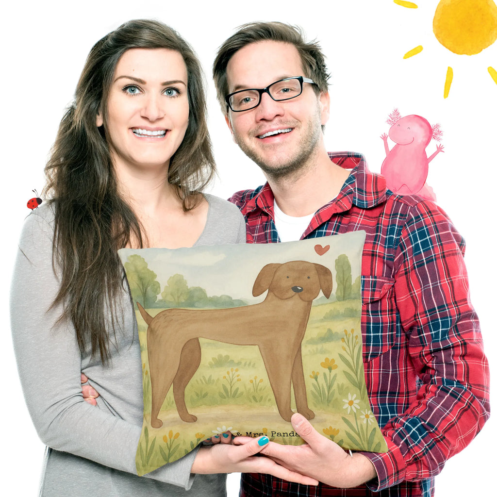 40x40 Kissen Hund Dogge Design Sofakissen, Kissenbezüge, Couchkissen, Kopfkissen 40x40, Kissen, Kissen 40x40, Dekokissen Sofa, Zierkissen, Dekokissen 40x40, Kissenbezug 40x40, Motivkissen, Dekokissen, Kopfkissen, Sofakissen 40x40, sofakissen, sitzkissen, Kissenhülle, Kissenhülle 40x40, Kissen 40x40 Waschbar, Hund, Hundemotiv, Haustier, Hunderasse, Tierliebhaber, Hundebesitzer, Sprüche, Dogge, Great Dane, Hunde, Deutsche Dogge