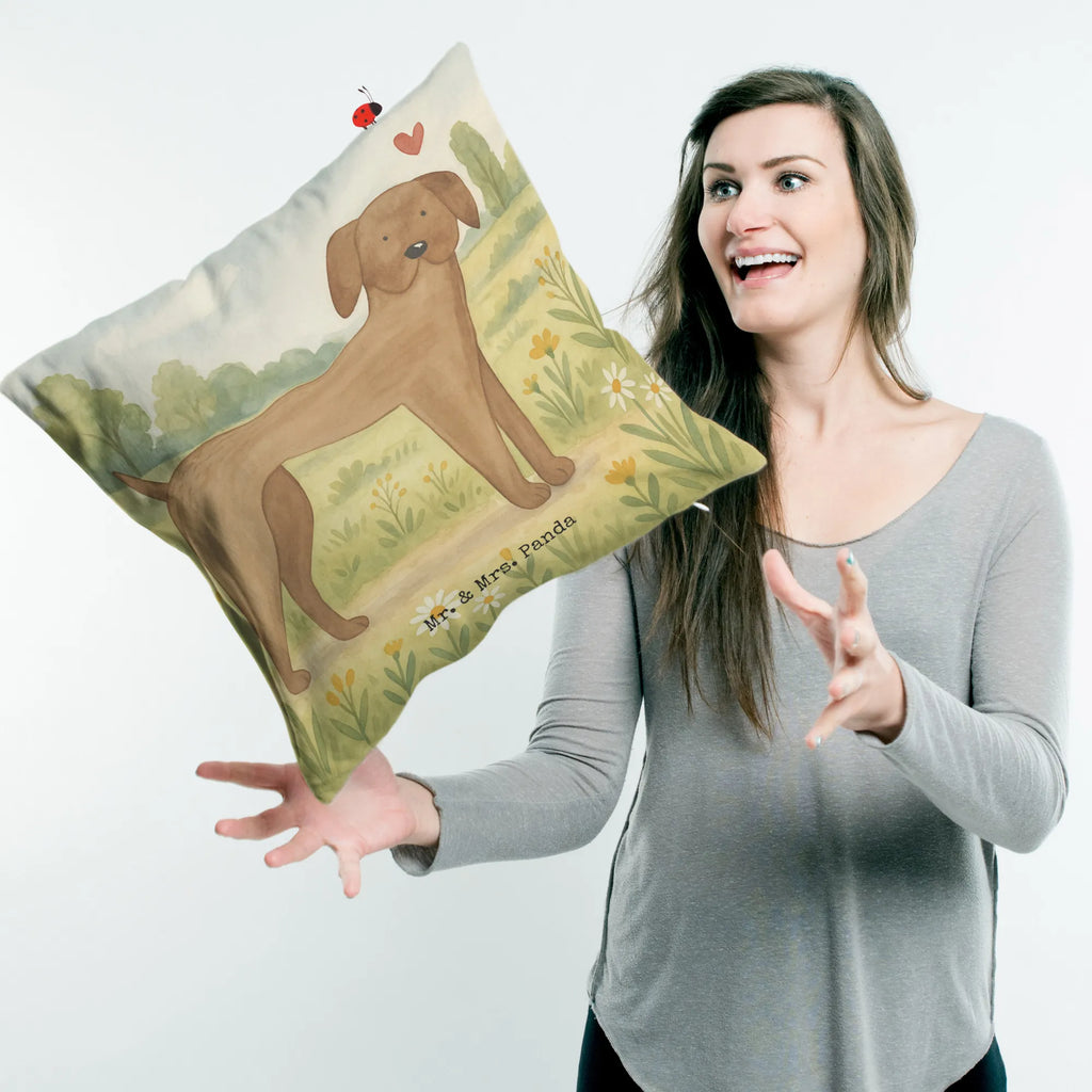 40x40 Kissen Hund Dogge Design Sofakissen, Kissenbezüge, Couchkissen, Kopfkissen 40x40, Kissen, Kissen 40x40, Dekokissen Sofa, Zierkissen, Dekokissen 40x40, Kissenbezug 40x40, Motivkissen, Dekokissen, Kopfkissen, Sofakissen 40x40, sofakissen, sitzkissen, Kissenhülle, Kissenhülle 40x40, Kissen 40x40 Waschbar, Hund, Hundemotiv, Haustier, Hunderasse, Tierliebhaber, Hundebesitzer, Sprüche, Dogge, Great Dane, Hunde, Deutsche Dogge