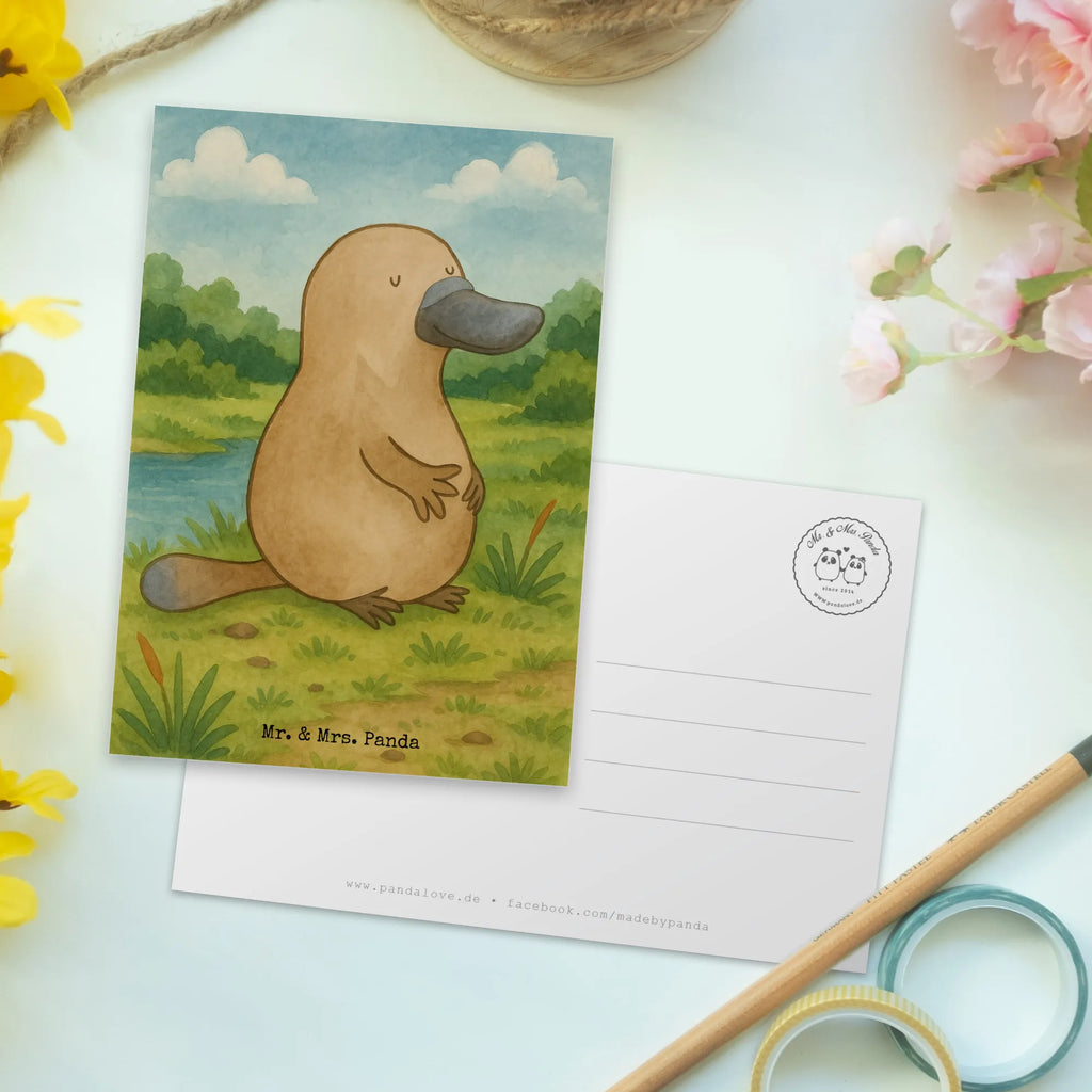 Postkarte Schnabeltier Mut Design Postkarte, Karte, Geschenkkarte, Grußkarte, Einladung, Ansichtskarte, Geburtstagskarte, Einladungskarte, Dankeskarte, Ansichtskarten, Einladung Geburtstag, Einladungskarten Geburtstag, Meerestiere, Meer, Urlaub, Schnabeltier, Mut, mutig, Lebensweisheit, Schnabeltiere, Motivation, Training, Büro, Arbeit, Neuanfang, Neustart, Weltreise, Raodtrip