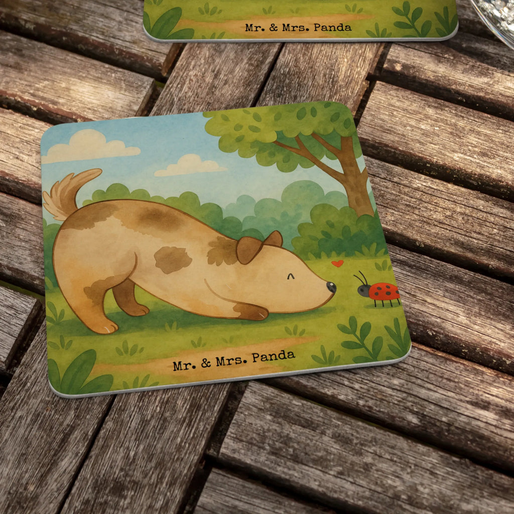 Bierdeckel Hund Marienkäfer Design Bierdeckel, Gastgeschenk Hochzeit, Tischdeko, Hund, Hundemotiv, Haustier, Hunderasse, Tierliebhaber, Hundebesitzer, Sprüche, Hunde, Hundespruch, Marienkäfer, Mischling, Mischlinghund