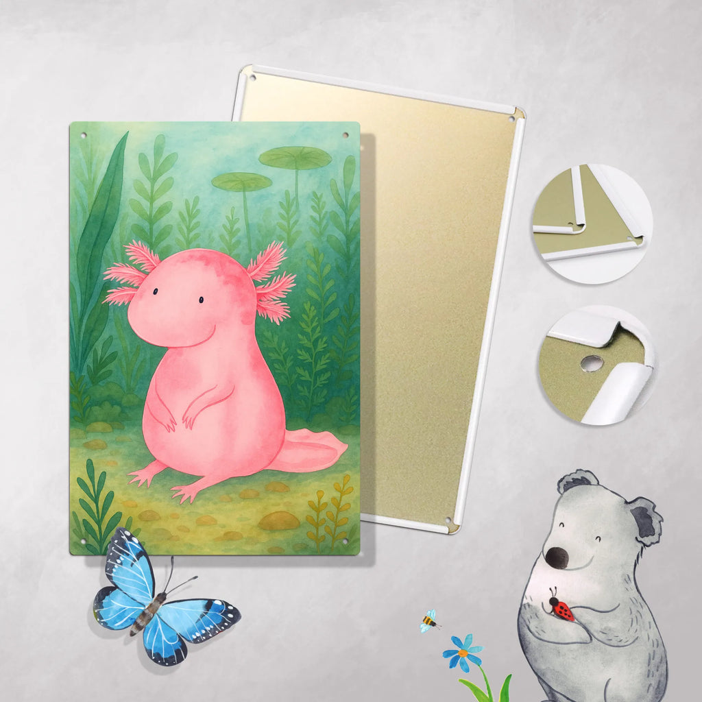 Paint by Numbers Metal Sign axolotl zero Design Axolotl, Axelotl, marine animals, Mexican walking fish, salamander, Axolot, love, happy, worldly wisdom, contented, cheerful, lifestyle, girlfriend, wisdom