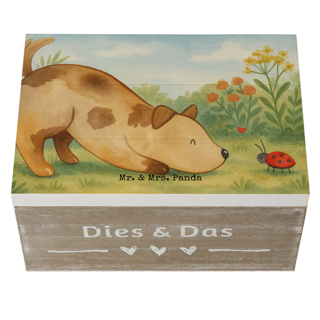 Holzkiste Hund Marienkäfer Design Geschenkbox, Kiste, Schatulle, Truhe, Schatzkiste, XXL, Holzkiste, Geschenkdose, Aufbewahrungsbox, Dekokiste, Erinnerungskiste, Erinnerungsbox, Hund, Hundemotiv, Haustier, Hunderasse, Tierliebhaber, Hundebesitzer, Sprüche, Hunde, Hundespruch, Mischlinghund, Mischling, Marienkäfer