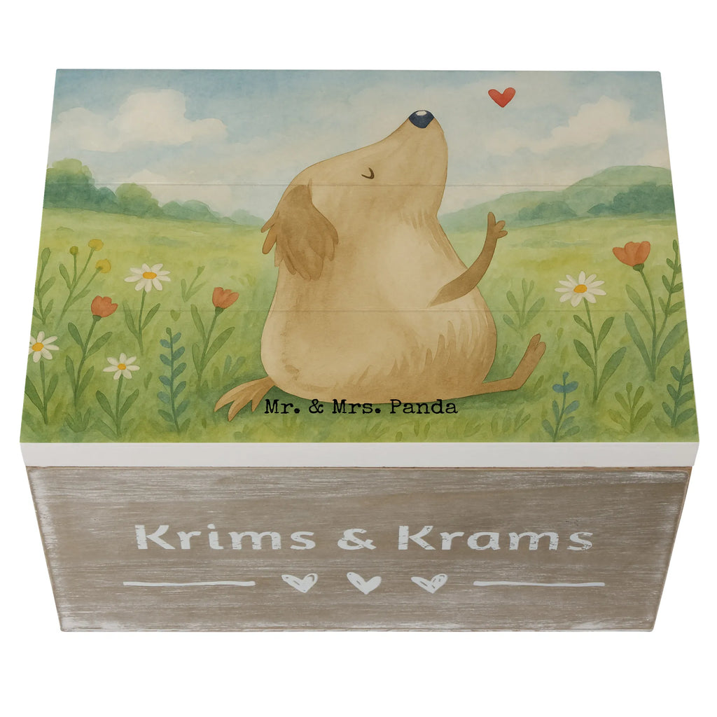 Holzkiste Hund Liebe Design Erinnerungskiste, Kiste, Schatulle, XXL, Schatzkiste, Geschenkbox, Geschenkdose, Holzkiste, Dekokiste, Truhe, Erinnerungsbox, Aufbewahrungsbox, Hund, Hundemotiv, Haustier, Hunderasse, Tierliebhaber, Hundebesitzer, Sprüche, Hundeliebe, Liebe, Hundeglück, Hunde, Frauchen
