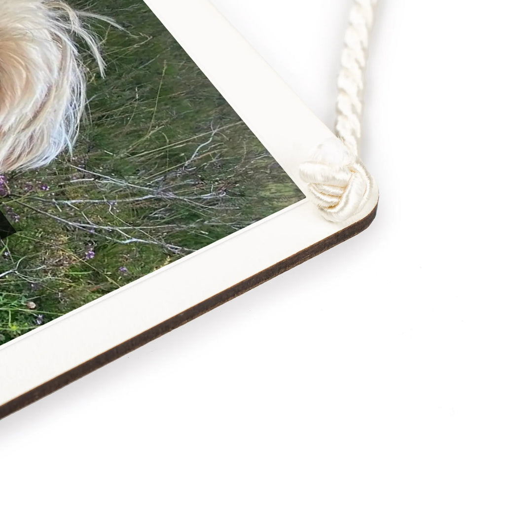 Personalisiertes Foto Deko Schild Hund Flauschig Holzschild Mit Foto, Deko Schild Mit Foto, Deko Schild Zum Aufhängen Mit Foto, Foto Deko Schild Für Wohnzimmer, Türschild Mit Bild, Deko Schild Zum Hinstellen Mit Bild, Deko Schild Für Küche Mit Wunschfoto, Wandschild Mit Foto, Landhausstil Deko Schild Mit Bild, Rustikales Deko Schild Mit Bild, Deko Schild Mit Eigenem Bild, Kleines Deko Schild Mit Bild, Deko Schild Mit Collage, Deko Schild Mit Foto Und Namen, Deko Schild Mit Fotodruck, Deko Schild Mit Familienfoto, Deko Schild Selbst Gestalten Mit Foto, Lustiges Deko Schild Mit Foto, Großes Deko Schild Mit Foto, Deko Schild Mit Wunschfoto, Deko Wandtafel Mit Bild, Vintage Deko Schild Mit Foto, Personalisiertes Deko Schild Mit Foto, Deko Schild Mit Urlaubsfoto, Deko Schild Für Balkon Mit Bild, Geschenk Deko Schild Mit Foto, Modernes Deko Schild Mit Wunschfoto, Metallschild Mit Wunschfoto, Handgemachtes Deko Schild Mit Wunschfoto, Deko Schild Für Garten Mit Foto, Deko Schild Mit Haustierfoto, Deko Schild Mit Persönlichem Motiv, Fotogeschenk Deko Schild, Dekoschild Mit Foto Und Text, Hund, Hundemotiv, Haustier, Hunderasse, Tierliebhaber, Hundebesitzer, Sprüche, Hundemama, Frauchen, Hundeliebe, Hunde