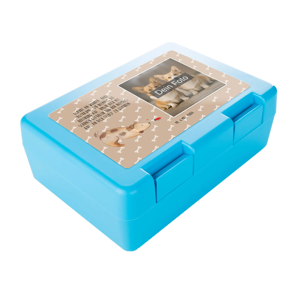 Personalisierte Foto Brotdose Hund Marienkäfer BPA-Freie Brotdose Mit Bild, Essensdose Mit Wunschfoto, Brotbox Mit Foto, Brotdose Mit Wunschfoto, Butterbrotdose Mit Bild, Brotdose Mit Eigenem Bild, Lunchbox Mit Foto, Brotdose Büro Mit Foto, Brotdose Für Unterwegs Mit Wunschfoto, Brotdose Kinder Mit Foto, Brotdose Selbst Gestalten Mit Foto, Brotdose Kita Mit Foto, Brotdose Für Jungen Mit Bild, Brotdose Bedruckt Mit Foto, Brotdose Schule Mit Foto, Personalisierte Brotdose Mit Foto, Brotdose Kindergarten Mit Wunschbild, Wiederverwendbare Brotdose Mit Foto, Lustige Brotdose Mit Eigenem Foto, Pausenbrotbox Mit Wunschfoto, Vesperdose Mit Bild, Kunststoff Brotdose Mit Bild, Vesperbox Mit Foto, Geschenk Brotdose Mit Foto, Frühstücksdose Mit Foto, Brotdose Mit Foto, Auslaufsichere Brotdose Mit Foto, Brotdose Erwachsene Mit Bild, Brotdose Mit Bild Und Namen, Snackbox Mit Bild, Design Brotdose Mit Wunschfoto, Brotdose Mit Foto Und Wunschtext, Nachhaltige Brotdose Mit Foto, Jausenbox Mit Eigenem Bild, Edelstahl Brotdose Mit Foto, Brotdose Für Mädchen Mit Foto, Foto Brotdose, Hund, Hundemotiv, Haustier, Hunderasse, Tierliebhaber, Hundebesitzer, Sprüche, Mischlinghund, Marienkäfer, Hundespruch, Hunde, Mischling