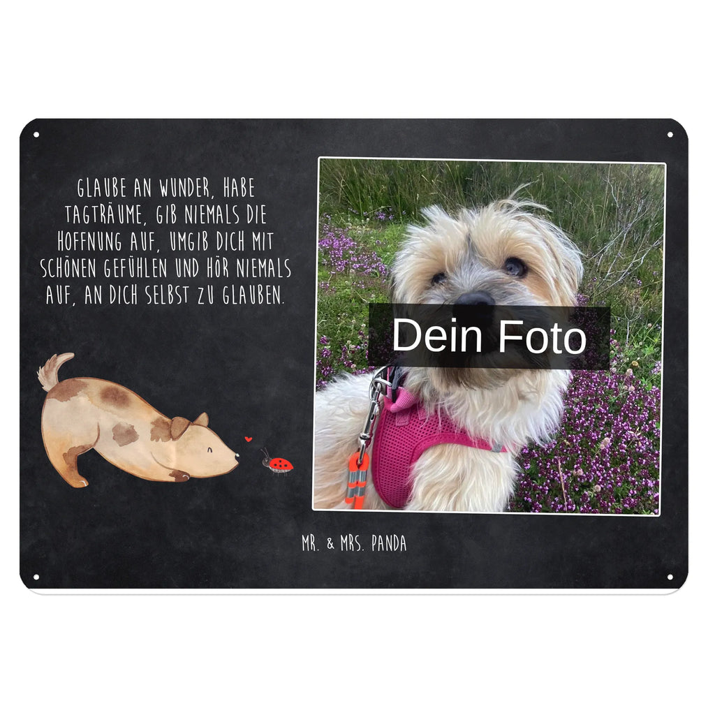 Personalisiertes Foto Blechschild Hund Marienkäfer Foto-Blechschild Für Zuhause, Blechschild Mit Eigenem Bild, Blechschild Mit Foto, Lustiges Blechschild Mit Foto, Blechschild Küche Mit Foto, Blechschild Für Männer Mit Foto, Personalisierte Wanddeko Aus Metall Mit Foto, Blechschild Für Garten Mit Foto, Metallschild Mit Foto, Blechschild Für Freunde Mit Wunschfoto, Metallschild Mit Wunschfoto, Blechschild Handgemacht Mit Foto, Türschild Mit Bild, Blechschild Als Geschenk Mit Bild, Design Blechschild Mit Bild, Nostalgieschild Mit Foto, Blechschild Für Balkon Mit Wunschbild, Dekoschild Metall Mit Foto, Wandschild Mit Foto, Blechschild Zum Hinstellen Mit Bild, Vintage Blechschild Mit Wunschfoto, Blechschild Mit Wunschfoto, Spruchschild Mit Foto, Blechschild Mit Fotodruck, Blechschild Für Frauen Mit Bild, Blechschild Mit Bild Und Namen, Blechschild Zum Aufhängen Mit Foto, Retro Blechschild Mit Bild, Personalisierbares Blechschild Mit Foto, Blechschild Wohnzimmer Mit Bild, Hund, Hundemotiv, Haustier, Hunderasse, Tierliebhaber, Hundebesitzer, Sprüche, Hunde, Mischling, Mischlinghund, Hundespruch, Marienkäfer