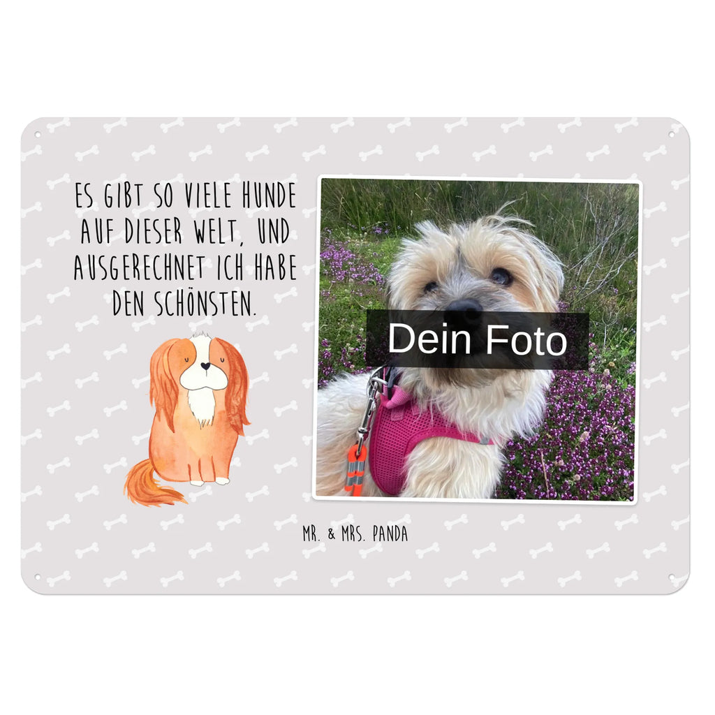 Personalized Photo Metal Sign Dog Cavalier King Charles Spaniel Blechschild Zum Aufhängen Mit Foto, Blechschild Für Frauen Mit Bild, Blechschild Für Männer Mit Foto, Blechschild Mit Bild Und Namen, Türschild Mit Bild, Blechschild Wohnzimmer Mit Bild, Metallschild Mit Wunschfoto, Blechschild Für Freunde Mit Wunschfoto, Spruchschild Mit Foto, Vintage Blechschild Mit Wunschfoto, Blechschild Als Geschenk Mit Bild, Foto-Blechschild Für Zuhause, Personalisierbares Blechschild Mit Foto, Blechschild Mit Foto, Metallschild Mit Foto, Nostalgieschild Mit Foto, Blechschild Handgemacht Mit Foto, Retro Blechschild Mit Bild, Lustiges Blechschild Mit Foto, Wandschild Mit Foto, Blechschild Für Garten Mit Foto, Design Blechschild Mit Bild, Personalisierte Wanddeko Aus Metall Mit Foto, Blechschild Mit Fotodruck, Dekoschild Metall Mit Foto, Blechschild Zum Hinstellen Mit Bild, Blechschild Küche Mit Foto, Blechschild Mit Eigenem Bild, Blechschild Für Balkon Mit Wunschbild, Blechschild Mit Wunschfoto, Hund, Hundemotiv, Haustier, Hunderasse, Tierliebhaber, Hundebesitzer, Sprüche, Spaniel, Cockerspaniel, schönster Hund, Spruch, Cavalier King Charles Spaniel