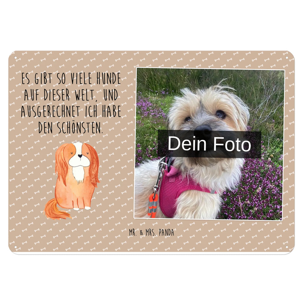 Personalized Photo Metal Sign Dog Cavalier King Charles Spaniel Blechschild Zum Aufhängen Mit Foto, Blechschild Für Frauen Mit Bild, Blechschild Für Männer Mit Foto, Blechschild Mit Bild Und Namen, Türschild Mit Bild, Blechschild Wohnzimmer Mit Bild, Metallschild Mit Wunschfoto, Blechschild Für Freunde Mit Wunschfoto, Spruchschild Mit Foto, Vintage Blechschild Mit Wunschfoto, Blechschild Als Geschenk Mit Bild, Foto-Blechschild Für Zuhause, Personalisierbares Blechschild Mit Foto, Blechschild Mit Foto, Metallschild Mit Foto, Nostalgieschild Mit Foto, Blechschild Handgemacht Mit Foto, Retro Blechschild Mit Bild, Lustiges Blechschild Mit Foto, Wandschild Mit Foto, Blechschild Für Garten Mit Foto, Design Blechschild Mit Bild, Personalisierte Wanddeko Aus Metall Mit Foto, Blechschild Mit Fotodruck, Dekoschild Metall Mit Foto, Blechschild Zum Hinstellen Mit Bild, Blechschild Küche Mit Foto, Blechschild Mit Eigenem Bild, Blechschild Für Balkon Mit Wunschbild, Blechschild Mit Wunschfoto, Hund, Hundemotiv, Haustier, Hunderasse, Tierliebhaber, Hundebesitzer, Sprüche, Spaniel, Cockerspaniel, schönster Hund, Spruch, Cavalier King Charles Spaniel