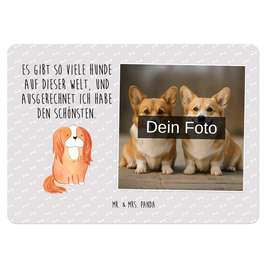 Personalized Photo Metal Sign Dog Cavalier King Charles Spaniel Blechschild Zum Aufhängen Mit Foto, Blechschild Für Frauen Mit Bild, Blechschild Für Männer Mit Foto, Blechschild Mit Bild Und Namen, Türschild Mit Bild, Blechschild Wohnzimmer Mit Bild, Metallschild Mit Wunschfoto, Blechschild Für Freunde Mit Wunschfoto, Spruchschild Mit Foto, Vintage Blechschild Mit Wunschfoto, Blechschild Als Geschenk Mit Bild, Foto-Blechschild Für Zuhause, Personalisierbares Blechschild Mit Foto, Blechschild Mit Foto, Metallschild Mit Foto, Nostalgieschild Mit Foto, Blechschild Handgemacht Mit Foto, Retro Blechschild Mit Bild, Lustiges Blechschild Mit Foto, Wandschild Mit Foto, Blechschild Für Garten Mit Foto, Design Blechschild Mit Bild, Personalisierte Wanddeko Aus Metall Mit Foto, Blechschild Mit Fotodruck, Dekoschild Metall Mit Foto, Blechschild Zum Hinstellen Mit Bild, Blechschild Küche Mit Foto, Blechschild Mit Eigenem Bild, Blechschild Für Balkon Mit Wunschbild, Blechschild Mit Wunschfoto, Hund, Hundemotiv, Haustier, Hunderasse, Tierliebhaber, Hundebesitzer, Sprüche, Spaniel, Cockerspaniel, schönster Hund, Spruch, Cavalier King Charles Spaniel