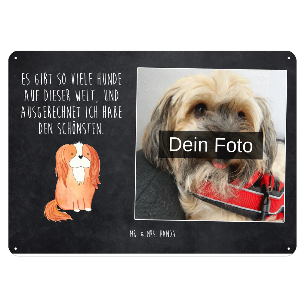 Personalized Photo Metal Sign Dog Cavalier King Charles Spaniel Blechschild Zum Aufhängen Mit Foto, Blechschild Für Frauen Mit Bild, Blechschild Für Männer Mit Foto, Blechschild Mit Bild Und Namen, Türschild Mit Bild, Blechschild Wohnzimmer Mit Bild, Metallschild Mit Wunschfoto, Blechschild Für Freunde Mit Wunschfoto, Spruchschild Mit Foto, Vintage Blechschild Mit Wunschfoto, Blechschild Als Geschenk Mit Bild, Foto-Blechschild Für Zuhause, Personalisierbares Blechschild Mit Foto, Blechschild Mit Foto, Metallschild Mit Foto, Nostalgieschild Mit Foto, Blechschild Handgemacht Mit Foto, Retro Blechschild Mit Bild, Lustiges Blechschild Mit Foto, Wandschild Mit Foto, Blechschild Für Garten Mit Foto, Design Blechschild Mit Bild, Personalisierte Wanddeko Aus Metall Mit Foto, Blechschild Mit Fotodruck, Dekoschild Metall Mit Foto, Blechschild Zum Hinstellen Mit Bild, Blechschild Küche Mit Foto, Blechschild Mit Eigenem Bild, Blechschild Für Balkon Mit Wunschbild, Blechschild Mit Wunschfoto, Hund, Hundemotiv, Haustier, Hunderasse, Tierliebhaber, Hundebesitzer, Sprüche, Spaniel, Cockerspaniel, schönster Hund, Spruch, Cavalier King Charles Spaniel