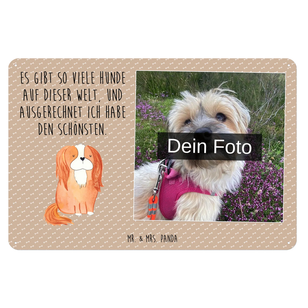 Personalized Photo Metal Sign Dog Cavalier King Charles Spaniel Blechschild Zum Aufhängen Mit Foto, Blechschild Für Frauen Mit Bild, Blechschild Für Männer Mit Foto, Blechschild Mit Bild Und Namen, Türschild Mit Bild, Blechschild Wohnzimmer Mit Bild, Metallschild Mit Wunschfoto, Blechschild Für Freunde Mit Wunschfoto, Spruchschild Mit Foto, Vintage Blechschild Mit Wunschfoto, Blechschild Als Geschenk Mit Bild, Foto-Blechschild Für Zuhause, Personalisierbares Blechschild Mit Foto, Blechschild Mit Foto, Metallschild Mit Foto, Nostalgieschild Mit Foto, Blechschild Handgemacht Mit Foto, Retro Blechschild Mit Bild, Lustiges Blechschild Mit Foto, Wandschild Mit Foto, Blechschild Für Garten Mit Foto, Design Blechschild Mit Bild, Personalisierte Wanddeko Aus Metall Mit Foto, Blechschild Mit Fotodruck, Dekoschild Metall Mit Foto, Blechschild Zum Hinstellen Mit Bild, Blechschild Küche Mit Foto, Blechschild Mit Eigenem Bild, Blechschild Für Balkon Mit Wunschbild, Blechschild Mit Wunschfoto, Hund, Hundemotiv, Haustier, Hunderasse, Tierliebhaber, Hundebesitzer, Sprüche, Spaniel, Cockerspaniel, schönster Hund, Spruch, Cavalier King Charles Spaniel