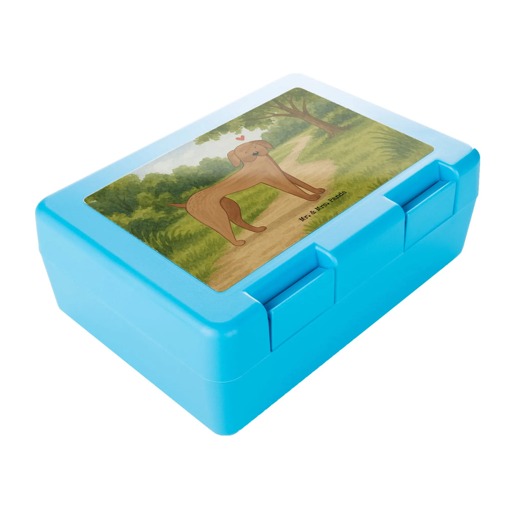 Brotdose Hund Dogge Design Brotdose Kinder, Pausenbrotbox, Vesperbox, Essensbox, Essensdose, Umweltfreundliche Brotdose, Mahlzeitendose, Lustige Brotdose, Brotdose Kita, Brotdose Mit Deckel, Brotdose, Brotdose Mit Motiv, Leichte Brotdose, Brotdose BPA-Frei, Vesperdose, Brotdose Mit Tiermotiv, Brotdose Mit Spruch, Frühstücksdose, Wiederverwendbare Brotdose, Brotdose Kindergarten, Brotdose Aus Glas, Brotdose Mit Clipverschluss, Brotdose Nachhaltig, Brotdose Spülmaschinenfest, Snackbox, Brotdose Auslaufsicher, Lunchbehältnis, Robuste Brotdose, Brotdose Schule, Brotdose Für Mädchen, Brotdose Für Unterwegs, Brotdose Für Jungen, Lunchbehälter, Brotdose Aus Edelstahl, Brotbox, Brotdose Erwachsene, Brotdose Aus Kunststoff, Lunchbox, Jausenbox, Design Brotdose, Brotdose Büro, Brotdose Mit Trennwand, Butterbrotdose, Hund, Hundemotiv, Haustier, Hunderasse, Tierliebhaber, Hundebesitzer, Sprüche, Deutsche Dogge, Great Dane, Hunde, Dogge