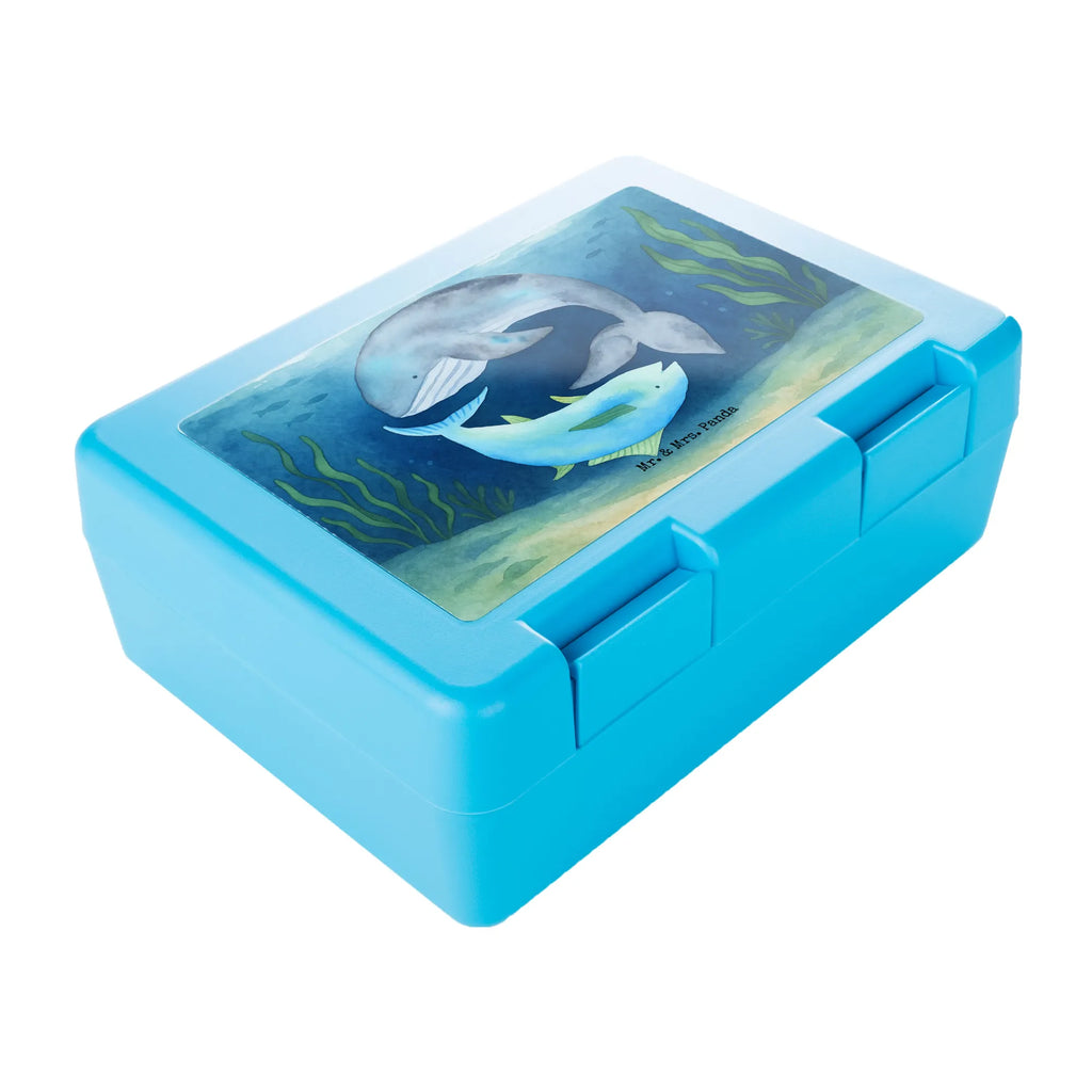 Brotdose Walfisch Thunfisch Design Vesperbox, Wiederverwendbare Brotdose, Brotdose Aus Edelstahl, Brotdose Aus Glas, Brotdose, Frühstücksdose, Brotdose BPA-Frei, Brotdose Kinder, Brotdose Aus Kunststoff, Lunchbehältnis, Brotdose Kita, Jausenbox, Essensbox, Vesperdose, Brotdose Schule, Pausenbrotbox, Design Brotdose, Essensdose, Lustige Brotdose, Brotdose Kindergarten, Lunchbox, Brotdose Auslaufsicher, Brotbox, Brotdose Nachhaltig, Mahlzeitendose, Lunchbehälter, Brotdose Büro, Brotdose Spülmaschinenfest, Leichte Brotdose, Brotdose Mit Tiermotiv, Brotdose Mit Motiv, Brotdose Für Unterwegs, Snackbox, Brotdose Mit Deckel, Butterbrotdose, Robuste Brotdose, Umweltfreundliche Brotdose, Brotdose Mit Spruch, Brotdose Für Jungen, Brotdose Mit Clipverschluss, Brotdose Erwachsene, Brotdose Für Mädchen, Brotdose Mit Trennwand, Tiermotive, Gute Laune, lustige Sprüche, Tiere, Wal, Wahl, Flachwitz Geschenk, Wortwitz lustig, Witz, Spruch lustig, Tunfisch, Spruch des Tages, Flachwitz