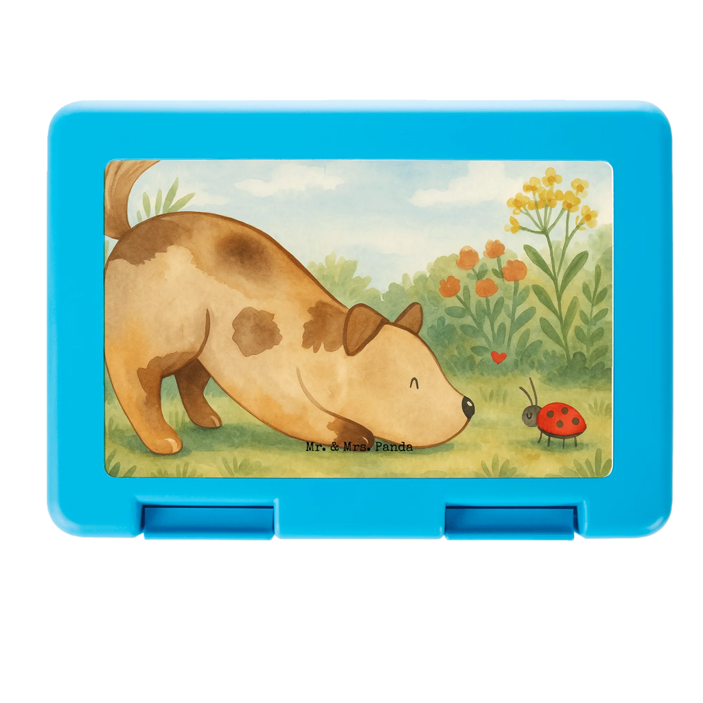 Brotdose Hund Marienkäfer Design Vesperdose, Essensdose, Robuste Brotdose, Brotdose Büro, Brotdose Schule, Brotdose Mit Clipverschluss, Brotdose Nachhaltig, Brotdose Mit Trennwand, Brotdose BPA-Frei, Brotdose Mit Deckel, Wiederverwendbare Brotdose, Umweltfreundliche Brotdose, Brotdose Aus Kunststoff, Brotdose Für Jungen, Vesperbox, Brotdose Auslaufsicher, Brotdose Für Mädchen, Brotdose Mit Tiermotiv, Design Brotdose, Lustige Brotdose, Butterbrotdose, Essensbox, Snackbox, Lunchbox, Brotdose Kinder, Brotdose Für Unterwegs, Brotdose Kindergarten, Brotbox, Pausenbrotbox, Brotdose Spülmaschinenfest, Brotdose Aus Glas, Frühstücksdose, Lunchbehältnis, Brotdose Kita, Brotdose, Brotdose Erwachsene, Leichte Brotdose, Brotdose Mit Motiv, Brotdose Aus Edelstahl, Lunchbehälter, Mahlzeitendose, Brotdose Mit Spruch, Jausenbox, Hund, Hundemotiv, Haustier, Hunderasse, Tierliebhaber, Hundebesitzer, Sprüche, Hundespruch, Marienkäfer, Mischlinghund, Mischling, Hunde