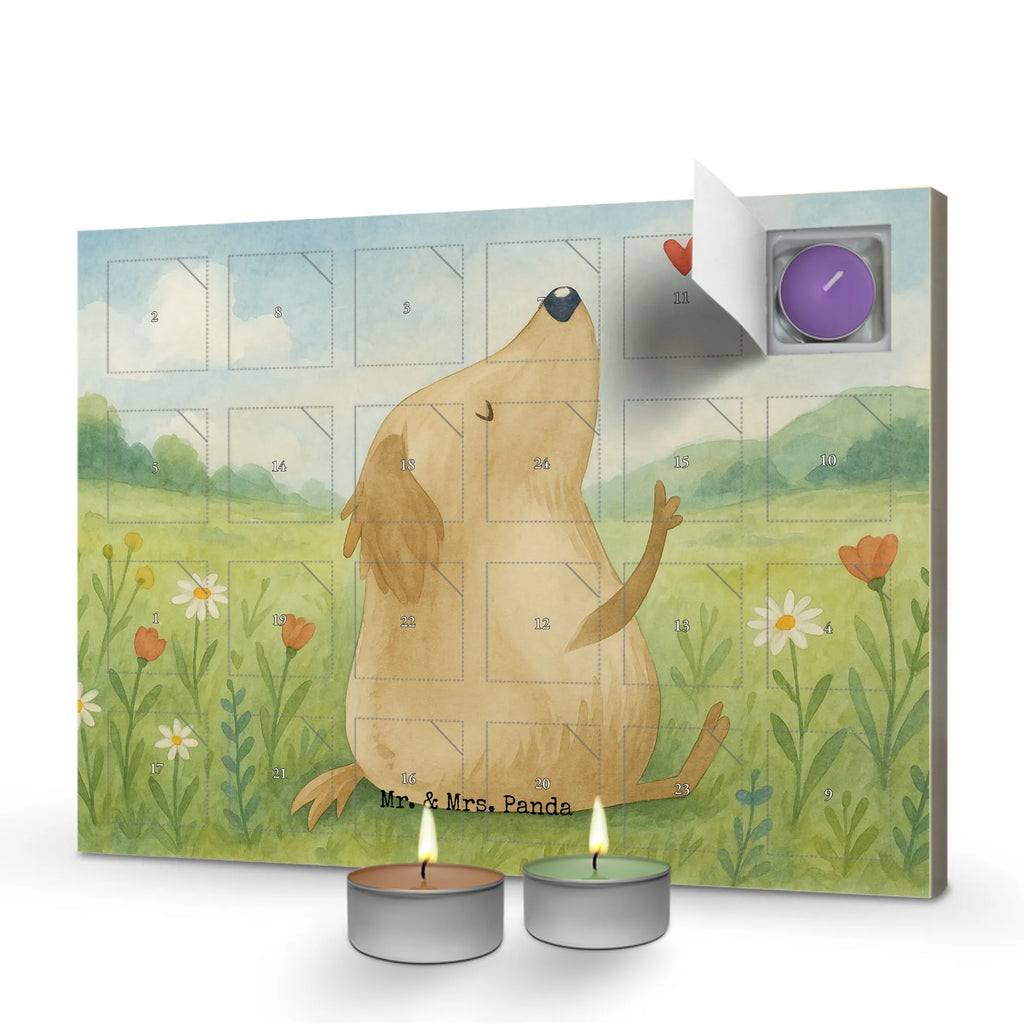 Scented candle advent calendar Dog Love Design Weihnachtskalender, adventskalender kerzen, Kerzen Adventskalender, Duftkerzen Adventskalender, adventskalender duftkerzen, Adventskalender, adventskerzen kalender, aroma adventskalender, duftkerzenkalender, weihnachts adventskalender, advent kalender, kerzenkalender, adventskalender mit duftkerzen, raumduft adventskalender, duft adventskalender, duft kalender, adventskalender mit kerzen, Sprüche, Hund, Hunderasse, Hundebesitzer, Hundemotiv, Haustier, Tierliebhaber, Hundeglück, Hunde, Liebe, Frauchen, Hundeliebe