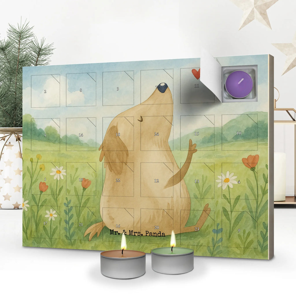 Scented candle advent calendar Dog Love Design Weihnachtskalender, adventskalender kerzen, Kerzen Adventskalender, Duftkerzen Adventskalender, adventskalender duftkerzen, Adventskalender, adventskerzen kalender, aroma adventskalender, duftkerzenkalender, weihnachts adventskalender, advent kalender, kerzenkalender, adventskalender mit duftkerzen, raumduft adventskalender, duft adventskalender, duft kalender, adventskalender mit kerzen, Sprüche, Hund, Hunderasse, Hundebesitzer, Hundemotiv, Haustier, Tierliebhaber, Hundeglück, Hunde, Liebe, Frauchen, Hundeliebe