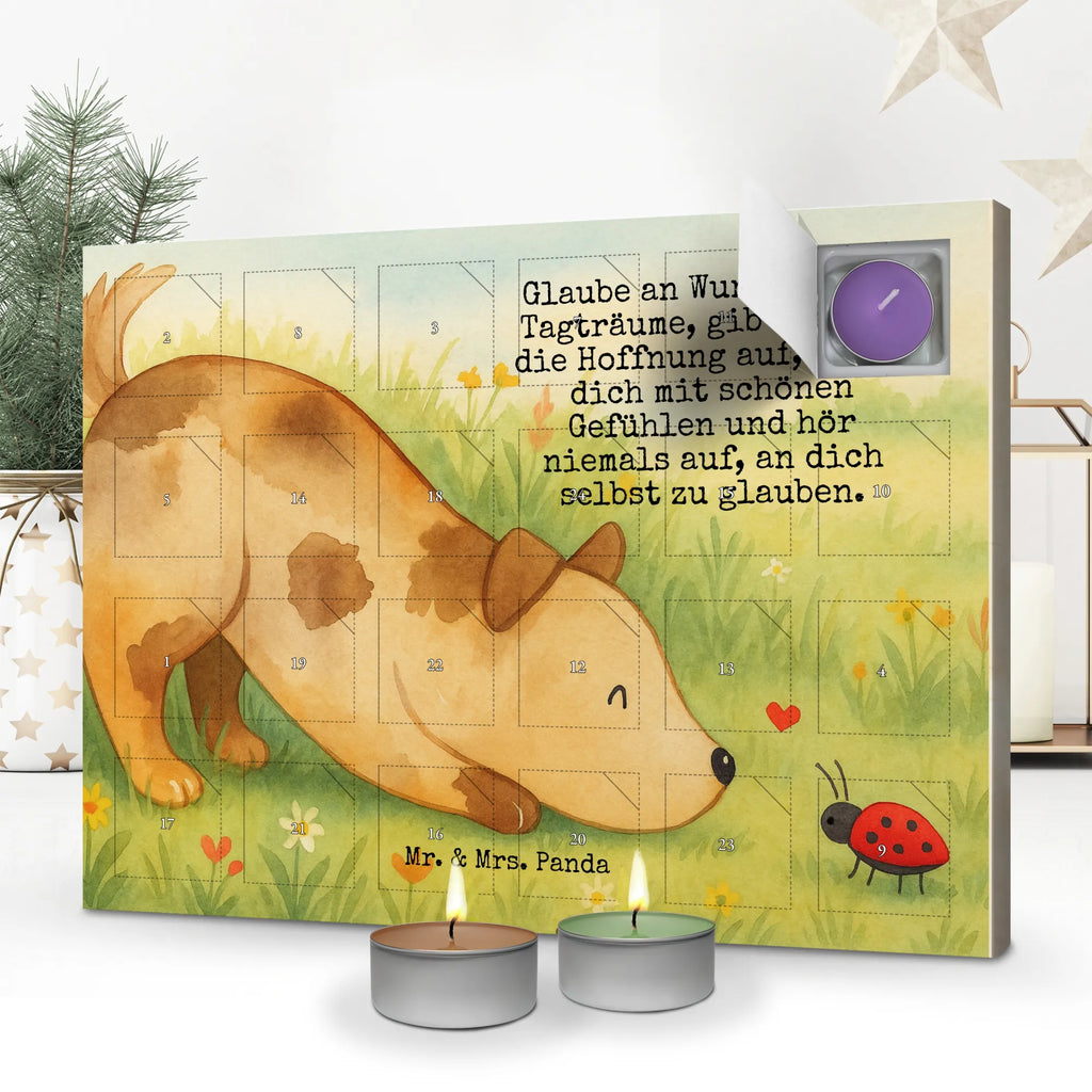Duftkerzen Adventskalender Hund Marienkäfer Design weihnachts adventskalender, adventskalender mit duftkerzen, adventskerzen kalender, adventskalender kerzen, duft adventskalender, Kerzen Adventskalender, adventskalender mit kerzen, Duftkerzen Adventskalender, duft kalender, adventskalender duftkerzen, Weihnachtskalender, raumduft adventskalender, kerzenkalender, Adventskalender, advent kalender, aroma adventskalender, duftkerzenkalender, Sprüche, Hund, Hunderasse, Hundebesitzer, Hundemotiv, Haustier, Tierliebhaber, Mischling, Hundespruch, Mischlinghund, Marienkäfer, Hunde