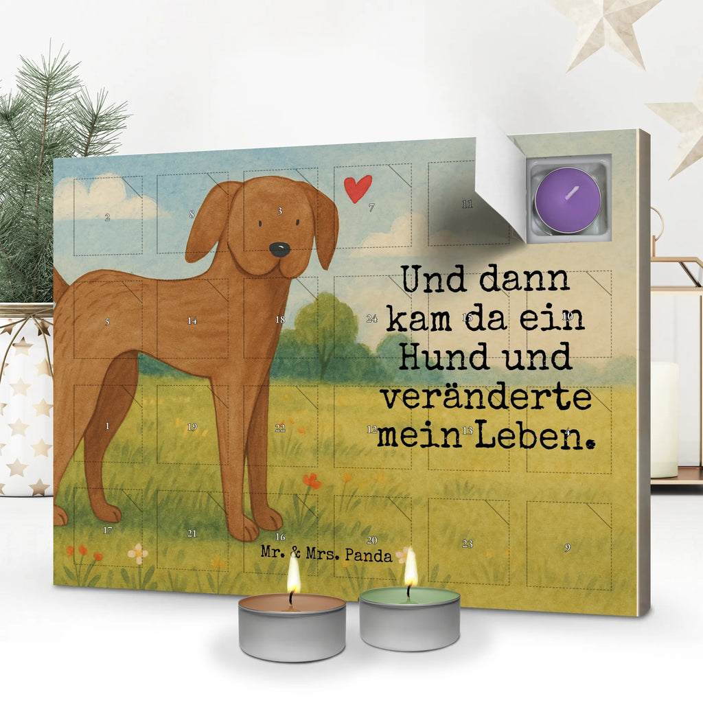 Scented candle advent calendar Dog mastiff Design dog, mutt, hound, woof, dog mama, dog breed, love dogs, love for dogs, dog decorative items, bag with dog print, funny gifts for dog owners, what do you give a dog lover, Christmas gifts for dogs, gifts for dogs, dog sayings, Great Dane, Dogs, Dog
