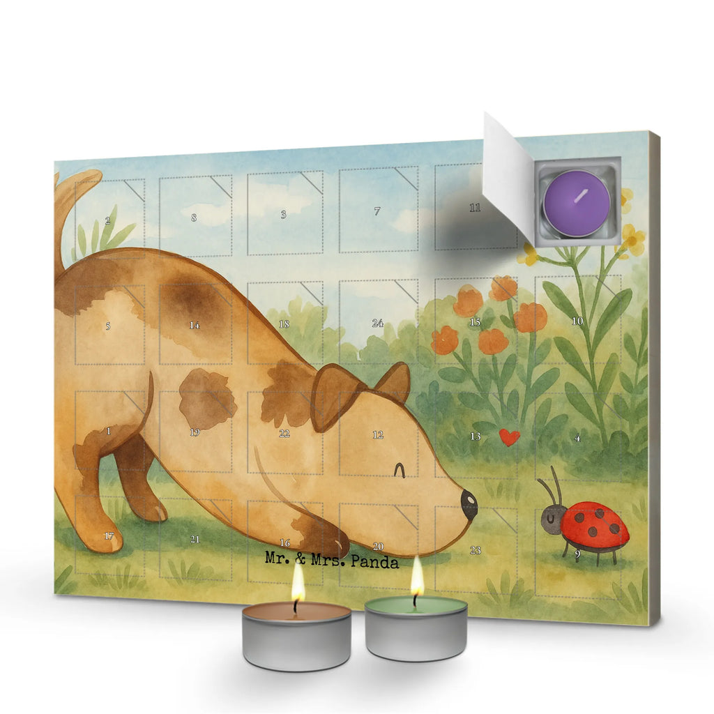 Duftkerzen Adventskalender Hund Marienkäfer Design weihnachts adventskalender, adventskalender mit duftkerzen, adventskerzen kalender, adventskalender kerzen, duft adventskalender, Kerzen Adventskalender, adventskalender mit kerzen, Duftkerzen Adventskalender, duft kalender, adventskalender duftkerzen, Weihnachtskalender, raumduft adventskalender, kerzenkalender, Adventskalender, advent kalender, aroma adventskalender, duftkerzenkalender, Sprüche, Hund, Hunderasse, Hundebesitzer, Hundemotiv, Haustier, Tierliebhaber, Mischling, Hundespruch, Mischlinghund, Marienkäfer, Hunde