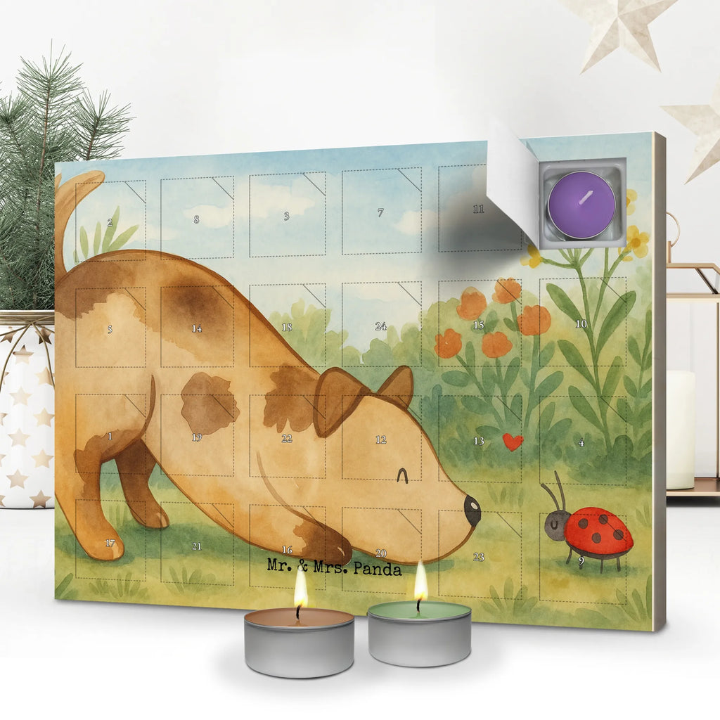 Duftkerzen Adventskalender Hund Marienkäfer Design weihnachts adventskalender, adventskalender mit duftkerzen, adventskerzen kalender, adventskalender kerzen, duft adventskalender, Kerzen Adventskalender, adventskalender mit kerzen, Duftkerzen Adventskalender, duft kalender, adventskalender duftkerzen, Weihnachtskalender, raumduft adventskalender, kerzenkalender, Adventskalender, advent kalender, aroma adventskalender, duftkerzenkalender, Sprüche, Hund, Hunderasse, Hundebesitzer, Hundemotiv, Haustier, Tierliebhaber, Mischling, Hundespruch, Mischlinghund, Marienkäfer, Hunde