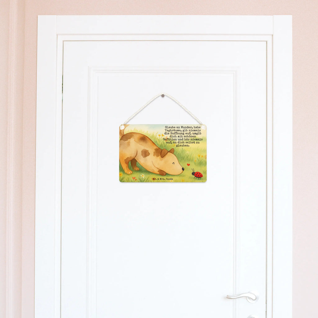 Deko Schild Hund Marienkäfer Design Deko schild Liebevoll Gestaltet, Deko schild Mit Spruch, Türschild, Dekoschild, Wanddeko Schild, Deko schild Für Balkon, Lustiges Deko schild, Deko schild Für Wohnzimmer, Deko schild Modern, Dekoschild Für Familie, Rustikales Deko schild, Vintage Schild, Deko schild Mit Lebensweisheit, Deko Schild, Dekoschild Zum Aufhängen, Dekoschild Handgemacht, Dekoschild Groß, Wandschild, Metallschild, Shabby Chic Schild, Dekoschild Geschenk, Schild Zum Hinstellen, Spruchschild, Dekoschild Klein, Deko Wandtafel, Dekoschild Für Badezimmer, Dekoschild Aus Holz, Dekos child Für Garten, Deko schild Landhausstil, Dekoschild Für Flur, Deko schild Mit Blumenmotiv, Schild Zum Aufstellen, Holzschild, Deko schild Mit Herz, Schild Aus Holz, Deko schild Mit Motiv, Schild Aus Metall, Türschild Mit Spruch, Deko schild Für Küche, Dekoschild Für Freunde, Hund, Hundemotiv, Haustier, Hunderasse, Tierliebhaber, Hundebesitzer, Sprüche, Hunde, Mischlinghund, Marienkäfer, Hundespruch, Mischling