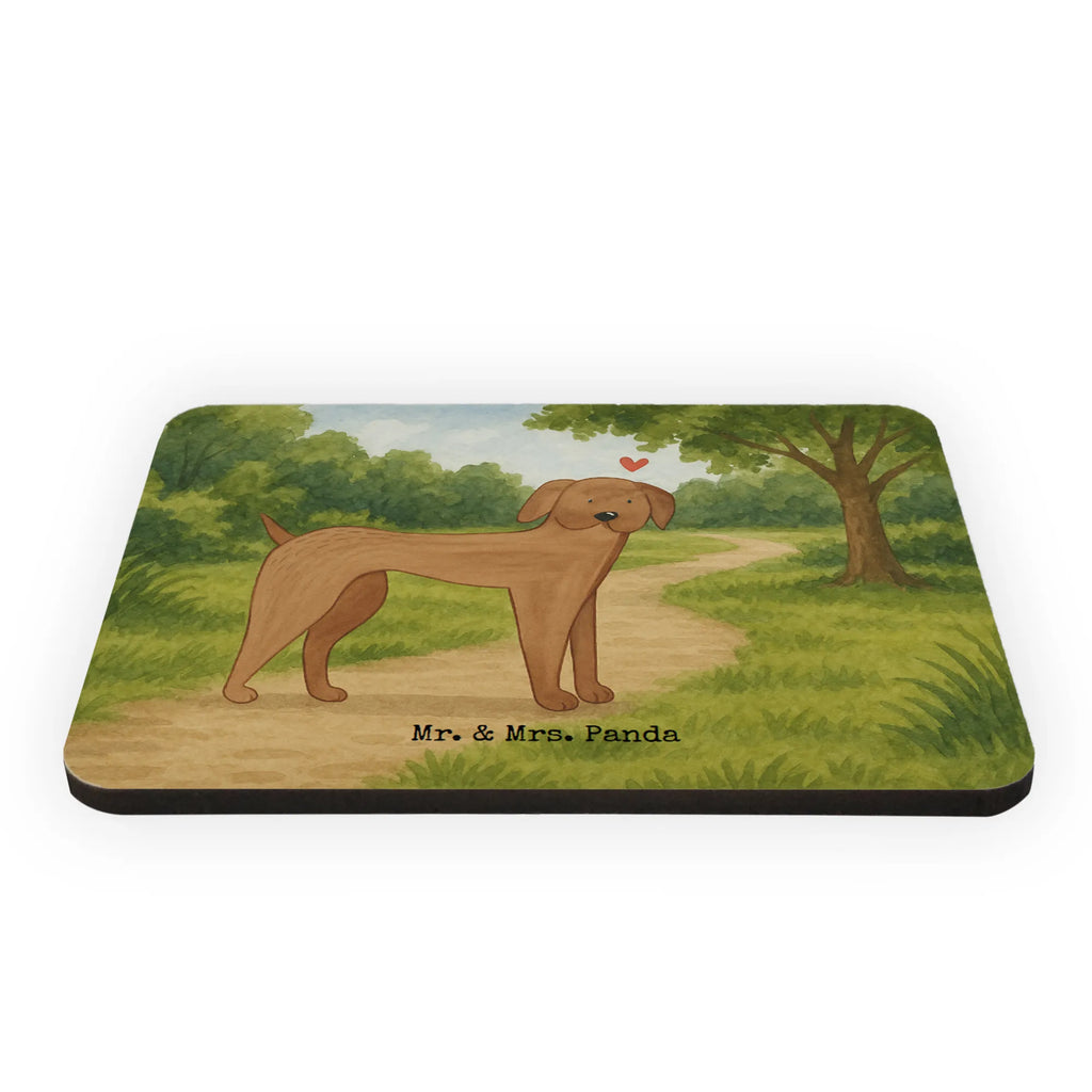 Magnet Hund Dogge Design Notiz Magnet, Pinnwandmagnet, Souvenir Magnet, Kühlschrankmagnet, Magnete Holz, Kühlschrank Dekoration, Kalendermagnet, fridge magnet, Motivmagnete, Whiteboard Magnet, Notizhalter, Dekomagnet, Sprüche, Hund, Hunderasse, Hundebesitzer, Hundemotiv, Haustier, Tierliebhaber, Dogge, Hunde, Deutsche Dogge, Great Dane