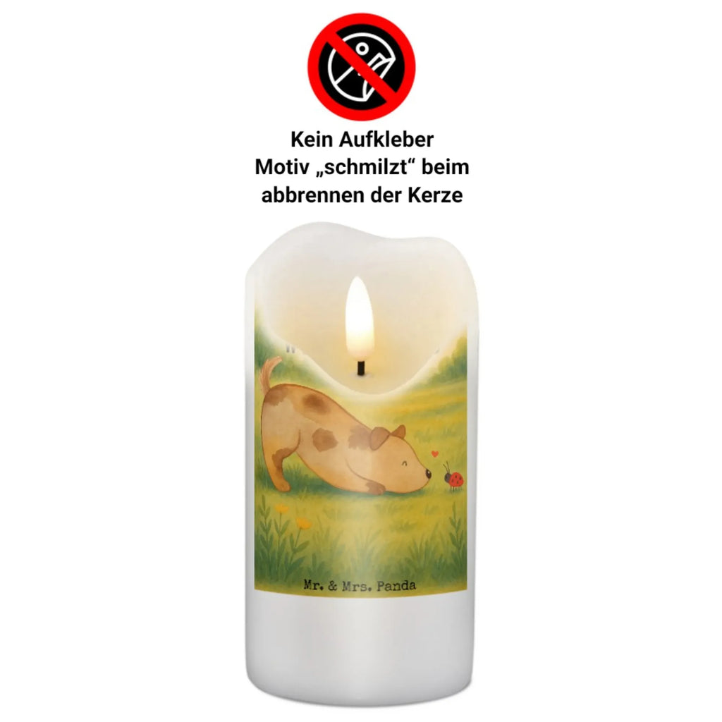 Personalisierte Kerze Hund Marienkäfer Design Bienenwachskerze Mit Wunschname, Kerze Für Geburtstag Mit Wunschname, Schwimmkerze Mit Namen, Laternenkerze Mit Namensdruck, Teelicht Mit Namensdruck, Streukerze Mit Namensdruck, Holz-Kerze Mit Namen, Sojawachskerze Mit Namensdruck, Kerzen-Set Mit Namensgravur, Votivkerze Mit Wunschname, Tischkerze Mit Namensdruck, Bio-Kerze Mit Wunschname, Kommunionkerze Mit Namen, Taufekerze Mit Namensgravur, Trauerkerze Mit Namen, Osterkerze Mit Namen, Gastgeschenk Kerze Mit Namen, Grabkerze Mit Namensgravur, Fair-Trade-Kerze Mit Namensgravur, Stabkerze Mit Gravur, Kerze Mit Spruch Und Namen, Blockkerze Mit Namensdruck, Metall-Kerze Mit Namensgravur, Kerze Für Hochzeit Mit Namensgravur, Gartenkerze Mit Namen, Firmungskerze Mit Wunschname, Kerze Mit Namen, LED-Kerze Mit Wunschname, Glas-Kerze Mit Wunschname, Stearinkerze Mit Gravur, Handgegossene Kerze Mit Namen, Duftkerze Mit Namen, Personalisierte Kerze, Kerze Mit Prägung Und Wunschname, Handgemachte Kerze Mit Wunschname, Tafelkerze Mit Wunschname, Andachtskerze Mit Namensgravur, Gedenkkerze Mit Namen, Weihnachtskerze Mit Namensgravur, Stumpenkerze Mit Namensgravur, Adventskerze Mit Wunschname, Outdoor-Kerze Mit Namensgravur, Hund, Hundemotiv, Haustier, Hunderasse, Tierliebhaber, Hundebesitzer, Sprüche, Hunde, Mischlinghund, Marienkäfer, Mischling, Hundespruch