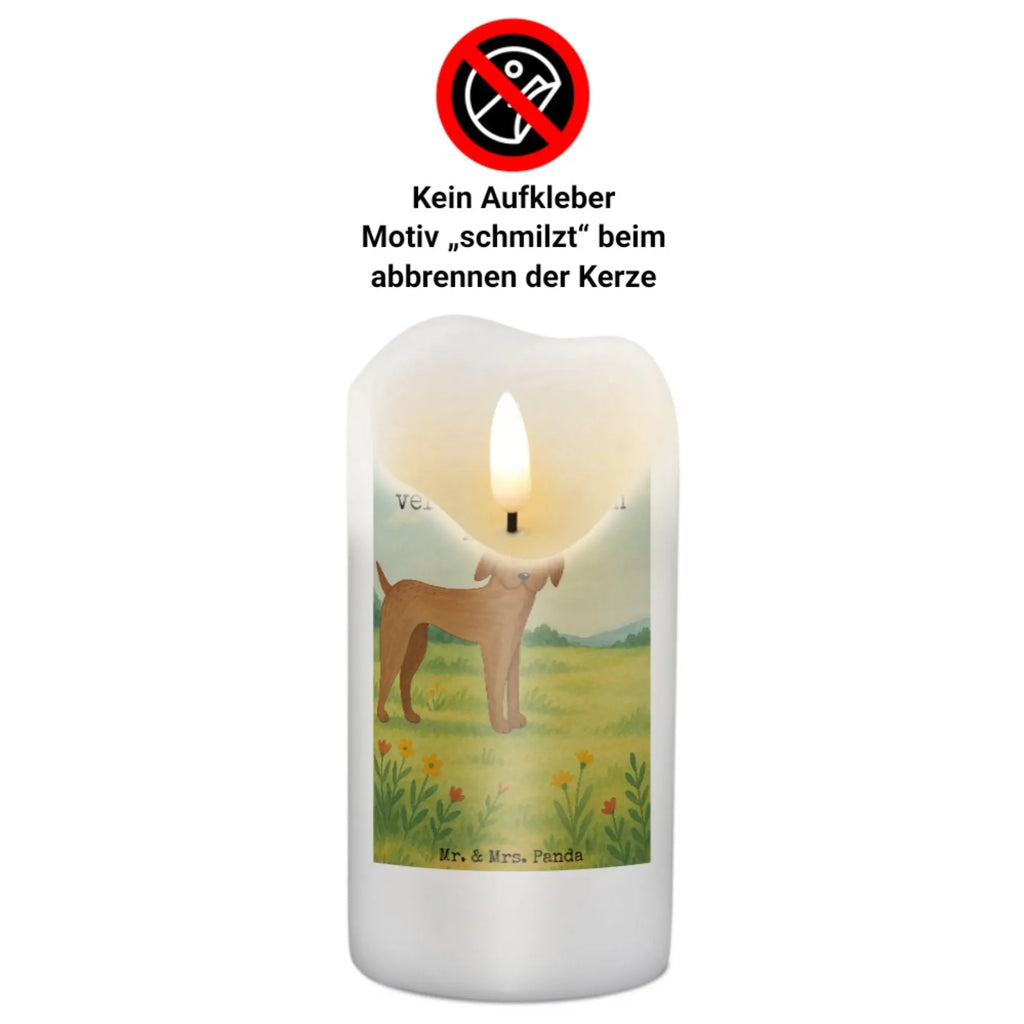 Kerze Hund Dogge Design Grabkerze, Stumpenkerzen-Set, Kerze Für Firmung, Dinnerkerze, Kerze Für Kommunion, Stearin­kerze, Grablicht, Kerze Mit Prägung, Sojawachskerze, Votivkerze, Bio-Kerze, Andachtskerze, Kerze, Gartenkerze, Kerze Mit Spruch, Kerze Mit Fotoeinleger, Kerze Mit Duft, Duftkerze, Tafelkerze, Kerze Für Ostern, Stabkerze, Trauerkerze, Kerze Für Weihnachten, Kerze Mit Gravur, Kerze Ohne Duft, Kerze Für Taufe, Kerze Für Advent, Outdoor-Kerze, Gedenkkerze, Kerze Mit Namensgravur, Handgemachte Kerze, Kerze Für Geburtstag, Blockkerze, Stumpenkerze, Streukerze, Laternenkerze, Kerze Für Hochzeit, Teelicht, Metall-Kerze, Handgegossene Kerze, Dinnerkerzenpaar, Kerze Als Gastgeschenk, Kerze Mit Motiv, Tischkerze, Glas-Kerze, Fair-Trade-Kerze, Hund, Hundemotiv, Haustier, Hunderasse, Tierliebhaber, Hundebesitzer, Sprüche, Great Dane, Deutsche Dogge, Hunde, Dogge