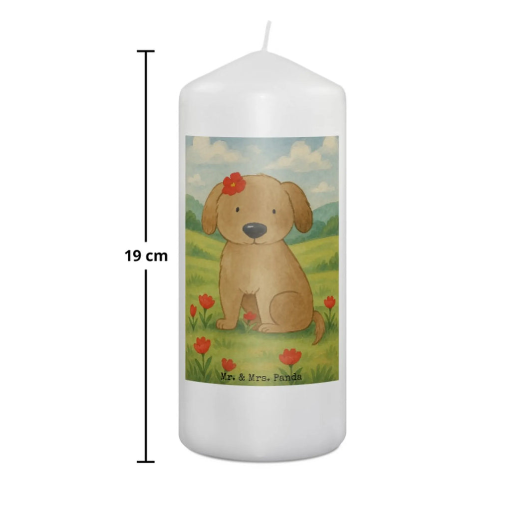 Kerze Hund Dame Design Kerze Mit Prägung, Votivkerze, Blockkerze, Teelicht, Tischkerze, Kerze Für Kommunion, Kerze Als Gastgeschenk, Handgemachte Kerze, Kerze Für Hochzeit, Stabkerze, Trauerkerze, Outdoor-Kerze, Gartenkerze, Streukerze, Kerze Mit Duft, Sojawachskerze, Kerze Mit Spruch, Grablicht, Glas-Kerze, Stearin­kerze, Bio-Kerze, Dinnerkerzenpaar, Kerze Für Firmung, Kerze Mit Fotoeinleger, Kerze Für Weihnachten, Grabkerze, Kerze Für Ostern, Kerze Mit Gravur, Fair-Trade-Kerze, Stumpenkerzen-Set, Kerze, Kerze Ohne Duft, Gedenkkerze, Kerze Mit Motiv, Metall-Kerze, Kerze Für Geburtstag, Tafelkerze, Kerze Für Advent, Handgegossene Kerze, Laternenkerze, Stumpenkerze, Kerze Für Taufe, Dinnerkerze, Andachtskerze, Kerze Mit Namensgravur, Duftkerze, Hund, Hundemotiv, Haustier, Hunderasse, Tierliebhaber, Hundebesitzer, Sprüche, Liebe, Hundeliebe, Hundeglück, Hunde, Frauchen