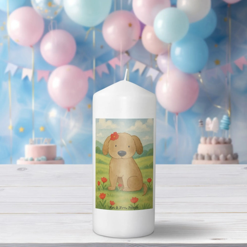 Kerze Hund Dame Design Kerze Mit Prägung, Votivkerze, Blockkerze, Teelicht, Tischkerze, Kerze Für Kommunion, Kerze Als Gastgeschenk, Handgemachte Kerze, Kerze Für Hochzeit, Stabkerze, Trauerkerze, Outdoor-Kerze, Gartenkerze, Streukerze, Kerze Mit Duft, Sojawachskerze, Kerze Mit Spruch, Grablicht, Glas-Kerze, Stearin­kerze, Bio-Kerze, Dinnerkerzenpaar, Kerze Für Firmung, Kerze Mit Fotoeinleger, Kerze Für Weihnachten, Grabkerze, Kerze Für Ostern, Kerze Mit Gravur, Fair-Trade-Kerze, Stumpenkerzen-Set, Kerze, Kerze Ohne Duft, Gedenkkerze, Kerze Mit Motiv, Metall-Kerze, Kerze Für Geburtstag, Tafelkerze, Kerze Für Advent, Handgegossene Kerze, Laternenkerze, Stumpenkerze, Kerze Für Taufe, Dinnerkerze, Andachtskerze, Kerze Mit Namensgravur, Duftkerze, Hund, Hundemotiv, Haustier, Hunderasse, Tierliebhaber, Hundebesitzer, Sprüche, Liebe, Hundeliebe, Hundeglück, Hunde, Frauchen