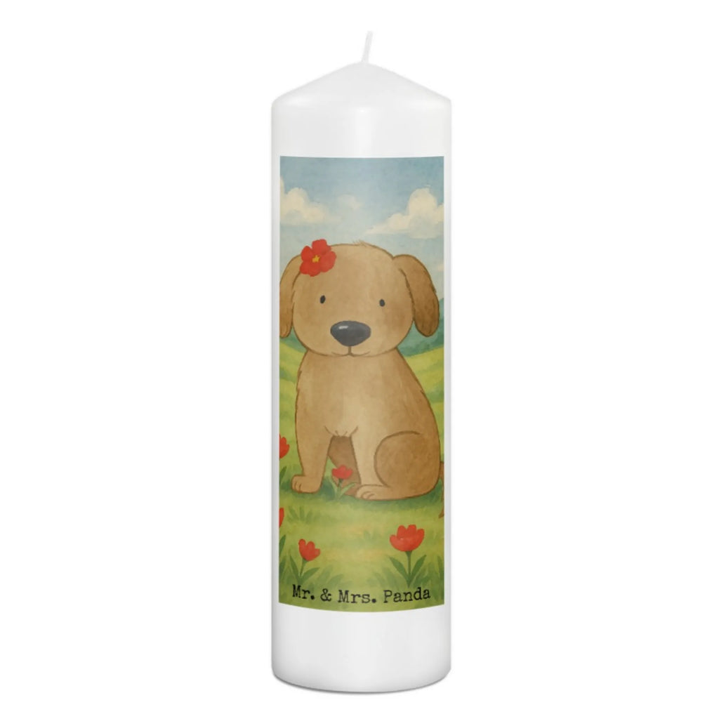 Kerze Hund Dame Design Kerze Mit Prägung, Votivkerze, Blockkerze, Teelicht, Tischkerze, Kerze Für Kommunion, Kerze Als Gastgeschenk, Handgemachte Kerze, Kerze Für Hochzeit, Stabkerze, Trauerkerze, Outdoor-Kerze, Gartenkerze, Streukerze, Kerze Mit Duft, Sojawachskerze, Kerze Mit Spruch, Grablicht, Glas-Kerze, Stearin­kerze, Bio-Kerze, Dinnerkerzenpaar, Kerze Für Firmung, Kerze Mit Fotoeinleger, Kerze Für Weihnachten, Grabkerze, Kerze Für Ostern, Kerze Mit Gravur, Fair-Trade-Kerze, Stumpenkerzen-Set, Kerze, Kerze Ohne Duft, Gedenkkerze, Kerze Mit Motiv, Metall-Kerze, Kerze Für Geburtstag, Tafelkerze, Kerze Für Advent, Handgegossene Kerze, Laternenkerze, Stumpenkerze, Kerze Für Taufe, Dinnerkerze, Andachtskerze, Kerze Mit Namensgravur, Duftkerze, Hund, Hundemotiv, Haustier, Hunderasse, Tierliebhaber, Hundebesitzer, Sprüche, Liebe, Hundeliebe, Hundeglück, Hunde, Frauchen