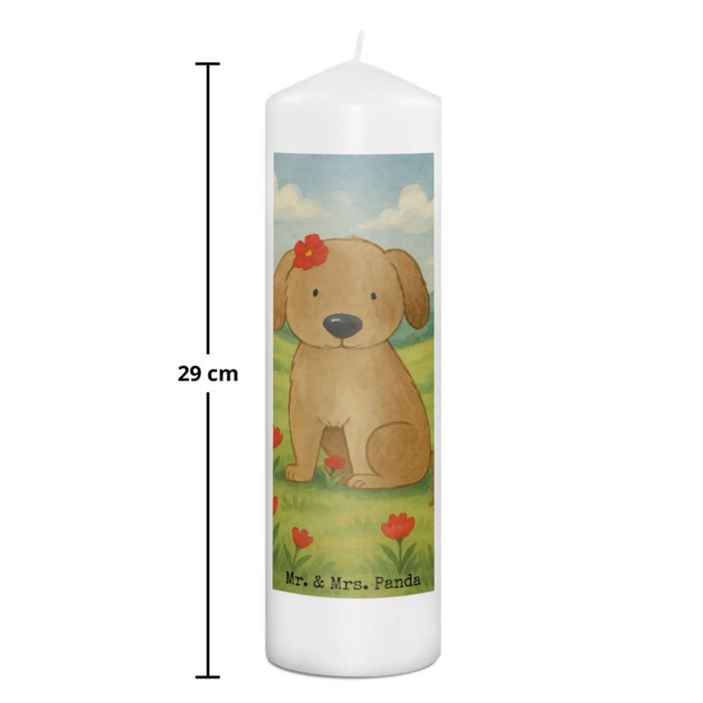 Kerze Hund Dame Design Kerze Mit Prägung, Votivkerze, Blockkerze, Teelicht, Tischkerze, Kerze Für Kommunion, Kerze Als Gastgeschenk, Handgemachte Kerze, Kerze Für Hochzeit, Stabkerze, Trauerkerze, Outdoor-Kerze, Gartenkerze, Streukerze, Kerze Mit Duft, Sojawachskerze, Kerze Mit Spruch, Grablicht, Glas-Kerze, Stearin­kerze, Bio-Kerze, Dinnerkerzenpaar, Kerze Für Firmung, Kerze Mit Fotoeinleger, Kerze Für Weihnachten, Grabkerze, Kerze Für Ostern, Kerze Mit Gravur, Fair-Trade-Kerze, Stumpenkerzen-Set, Kerze, Kerze Ohne Duft, Gedenkkerze, Kerze Mit Motiv, Metall-Kerze, Kerze Für Geburtstag, Tafelkerze, Kerze Für Advent, Handgegossene Kerze, Laternenkerze, Stumpenkerze, Kerze Für Taufe, Dinnerkerze, Andachtskerze, Kerze Mit Namensgravur, Duftkerze, Hund, Hundemotiv, Haustier, Hunderasse, Tierliebhaber, Hundebesitzer, Sprüche, Liebe, Hundeliebe, Hundeglück, Hunde, Frauchen