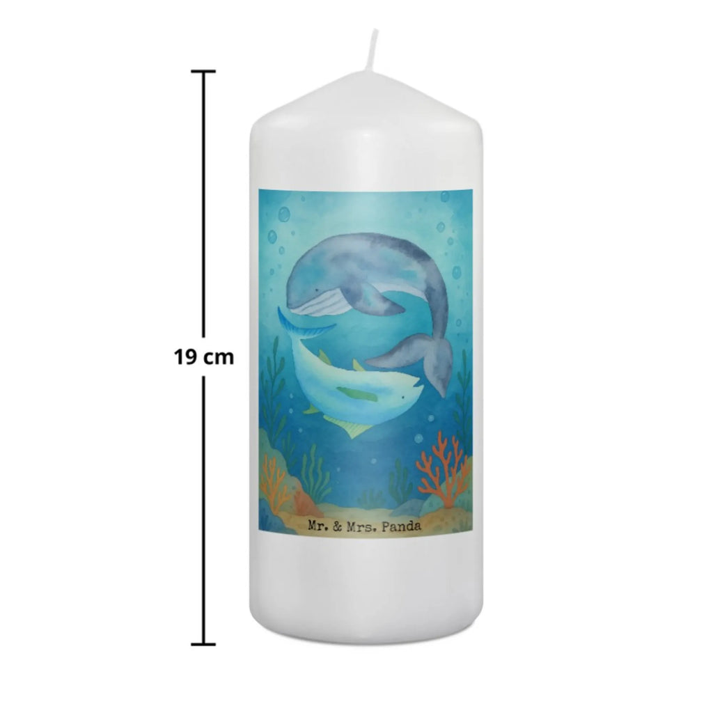 Kerze Walfisch Thunfisch Design Kerze Für Weihnachten, Blockkerze, Andachtskerze, Tischkerze, Stearin­kerze, Kerze Mit Duft, Kerze Für Hochzeit, Kerze Für Ostern, Votivkerze, Outdoor-Kerze, Kerze Mit Namensgravur, Trauerkerze, Kerze Für Firmung, Grablicht, Kerze Für Advent, Kerze Mit Spruch, Stabkerze, Dinnerkerze, Dinnerkerzenpaar, Sojawachskerze, Teelicht, Kerze Mit Gravur, Kerze Für Taufe, Kerze Für Kommunion, Metall-Kerze, Kerze, Kerze Als Gastgeschenk, Streukerze, Kerze Ohne Duft, Handgemachte Kerze, Stumpenkerzen-Set, Stumpenkerze, Fair-Trade-Kerze, Kerze Für Geburtstag, Kerze Mit Prägung, Tafelkerze, Gartenkerze, Glas-Kerze, Bio-Kerze, Kerze Mit Motiv, Duftkerze, Grabkerze, Gedenkkerze, Laternenkerze, Kerze Mit Fotoeinleger, Handgegossene Kerze, Tiermotive, Gute Laune, lustige Sprüche, Tiere, Wortwitz lustig, Spruch des Tages, Witz, Flachwitz Geschenk, Wal, Wahl, Tunfisch, Flachwitz, Spruch lustig