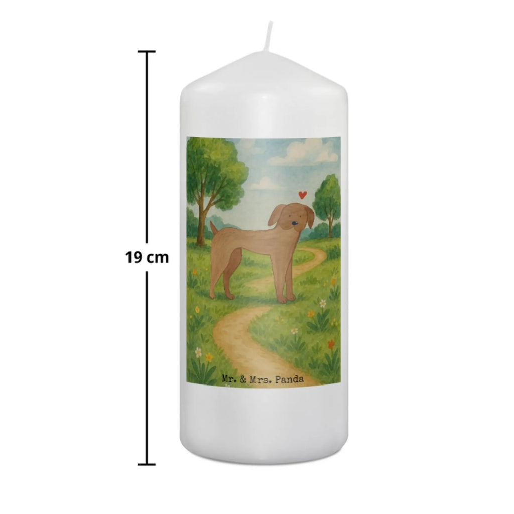 Kerze Hund Dogge Design Grabkerze, Stumpenkerzen-Set, Kerze Für Firmung, Dinnerkerze, Kerze Für Kommunion, Stearin­kerze, Grablicht, Kerze Mit Prägung, Sojawachskerze, Votivkerze, Bio-Kerze, Andachtskerze, Kerze, Gartenkerze, Kerze Mit Spruch, Kerze Mit Fotoeinleger, Kerze Mit Duft, Duftkerze, Tafelkerze, Kerze Für Ostern, Stabkerze, Trauerkerze, Kerze Für Weihnachten, Kerze Mit Gravur, Kerze Ohne Duft, Kerze Für Taufe, Kerze Für Advent, Outdoor-Kerze, Gedenkkerze, Kerze Mit Namensgravur, Handgemachte Kerze, Kerze Für Geburtstag, Blockkerze, Stumpenkerze, Streukerze, Laternenkerze, Kerze Für Hochzeit, Teelicht, Metall-Kerze, Handgegossene Kerze, Dinnerkerzenpaar, Kerze Als Gastgeschenk, Kerze Mit Motiv, Tischkerze, Glas-Kerze, Fair-Trade-Kerze, Hund, Hundemotiv, Haustier, Hunderasse, Tierliebhaber, Hundebesitzer, Sprüche, Great Dane, Deutsche Dogge, Hunde, Dogge