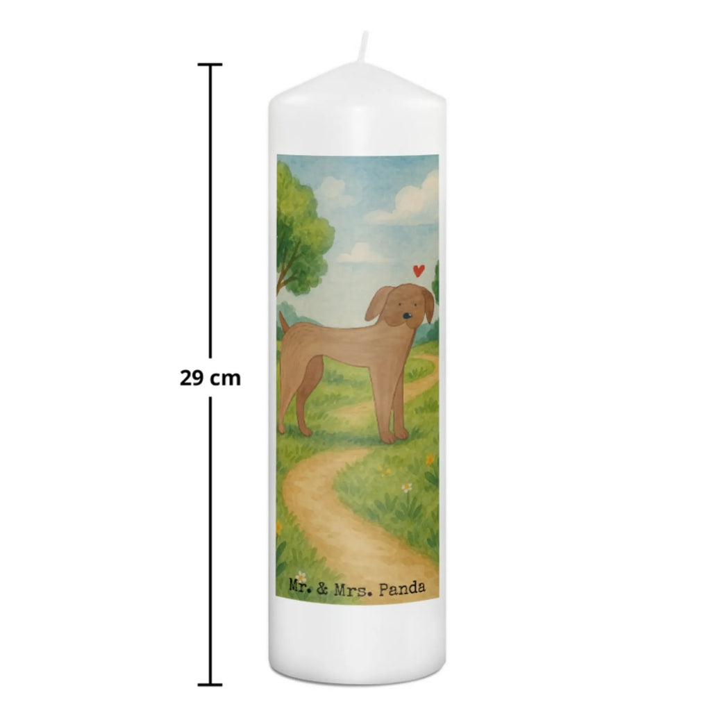 Kerze Hund Dogge Design Grabkerze, Stumpenkerzen-Set, Kerze Für Firmung, Dinnerkerze, Kerze Für Kommunion, Stearin­kerze, Grablicht, Kerze Mit Prägung, Sojawachskerze, Votivkerze, Bio-Kerze, Andachtskerze, Kerze, Gartenkerze, Kerze Mit Spruch, Kerze Mit Fotoeinleger, Kerze Mit Duft, Duftkerze, Tafelkerze, Kerze Für Ostern, Stabkerze, Trauerkerze, Kerze Für Weihnachten, Kerze Mit Gravur, Kerze Ohne Duft, Kerze Für Taufe, Kerze Für Advent, Outdoor-Kerze, Gedenkkerze, Kerze Mit Namensgravur, Handgemachte Kerze, Kerze Für Geburtstag, Blockkerze, Stumpenkerze, Streukerze, Laternenkerze, Kerze Für Hochzeit, Teelicht, Metall-Kerze, Handgegossene Kerze, Dinnerkerzenpaar, Kerze Als Gastgeschenk, Kerze Mit Motiv, Tischkerze, Glas-Kerze, Fair-Trade-Kerze, Hund, Hundemotiv, Haustier, Hunderasse, Tierliebhaber, Hundebesitzer, Sprüche, Great Dane, Deutsche Dogge, Hunde, Dogge
