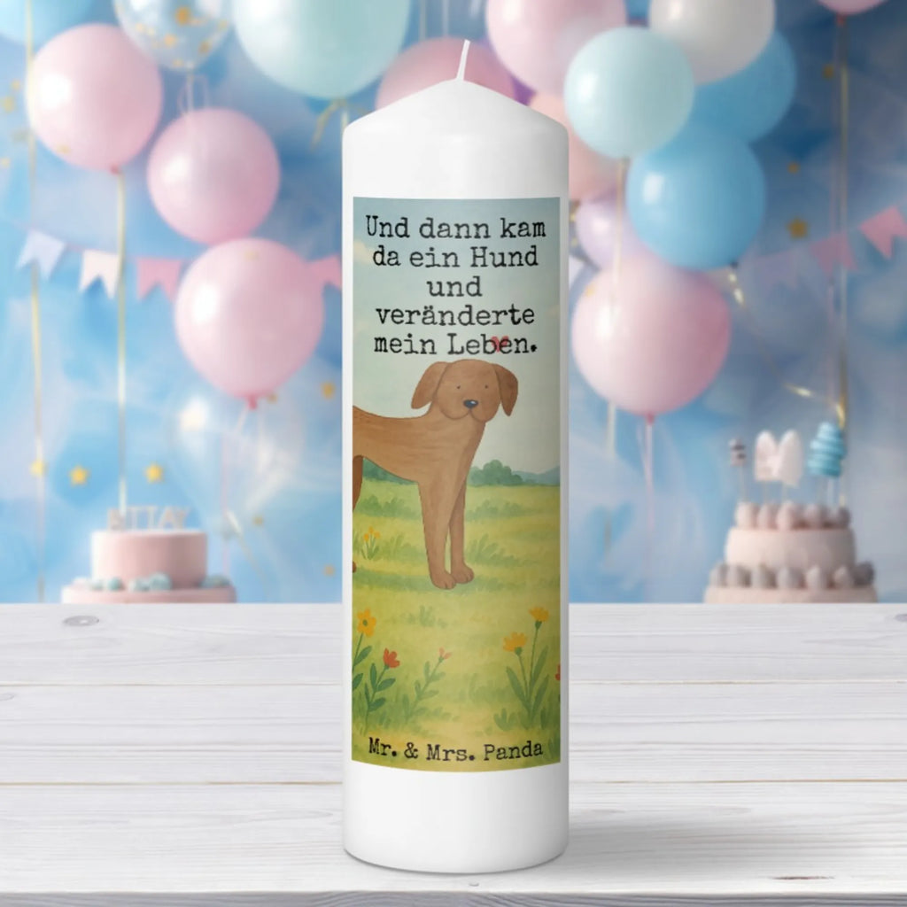 Kerze Hund Dogge Design Grabkerze, Stumpenkerzen-Set, Kerze Für Firmung, Dinnerkerze, Kerze Für Kommunion, Stearin­kerze, Grablicht, Kerze Mit Prägung, Sojawachskerze, Votivkerze, Bio-Kerze, Andachtskerze, Kerze, Gartenkerze, Kerze Mit Spruch, Kerze Mit Fotoeinleger, Kerze Mit Duft, Duftkerze, Tafelkerze, Kerze Für Ostern, Stabkerze, Trauerkerze, Kerze Für Weihnachten, Kerze Mit Gravur, Kerze Ohne Duft, Kerze Für Taufe, Kerze Für Advent, Outdoor-Kerze, Gedenkkerze, Kerze Mit Namensgravur, Handgemachte Kerze, Kerze Für Geburtstag, Blockkerze, Stumpenkerze, Streukerze, Laternenkerze, Kerze Für Hochzeit, Teelicht, Metall-Kerze, Handgegossene Kerze, Dinnerkerzenpaar, Kerze Als Gastgeschenk, Kerze Mit Motiv, Tischkerze, Glas-Kerze, Fair-Trade-Kerze, Hund, Hundemotiv, Haustier, Hunderasse, Tierliebhaber, Hundebesitzer, Sprüche, Great Dane, Deutsche Dogge, Hunde, Dogge