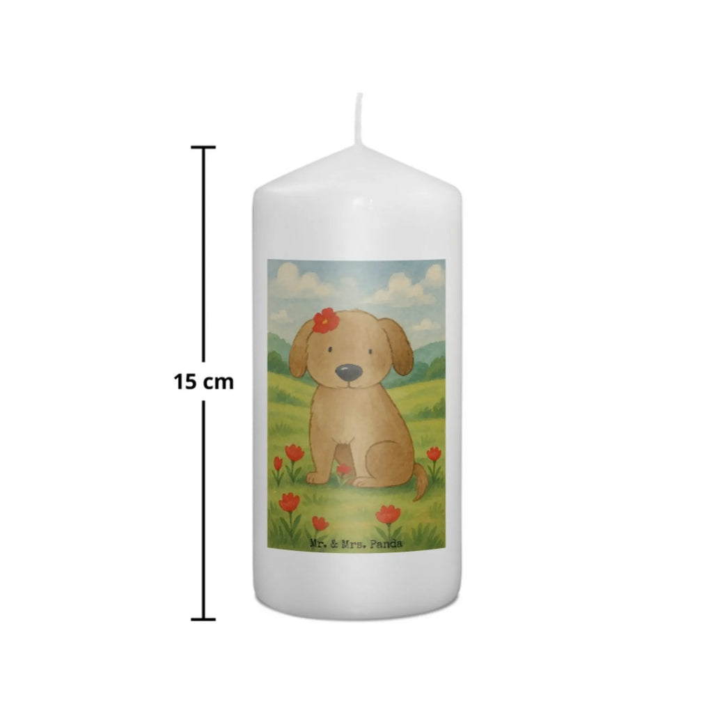 Kerze Hund Dame Design Kerze Mit Prägung, Votivkerze, Blockkerze, Teelicht, Tischkerze, Kerze Für Kommunion, Kerze Als Gastgeschenk, Handgemachte Kerze, Kerze Für Hochzeit, Stabkerze, Trauerkerze, Outdoor-Kerze, Gartenkerze, Streukerze, Kerze Mit Duft, Sojawachskerze, Kerze Mit Spruch, Grablicht, Glas-Kerze, Stearin­kerze, Bio-Kerze, Dinnerkerzenpaar, Kerze Für Firmung, Kerze Mit Fotoeinleger, Kerze Für Weihnachten, Grabkerze, Kerze Für Ostern, Kerze Mit Gravur, Fair-Trade-Kerze, Stumpenkerzen-Set, Kerze, Kerze Ohne Duft, Gedenkkerze, Kerze Mit Motiv, Metall-Kerze, Kerze Für Geburtstag, Tafelkerze, Kerze Für Advent, Handgegossene Kerze, Laternenkerze, Stumpenkerze, Kerze Für Taufe, Dinnerkerze, Andachtskerze, Kerze Mit Namensgravur, Duftkerze, Hund, Hundemotiv, Haustier, Hunderasse, Tierliebhaber, Hundebesitzer, Sprüche, Liebe, Hundeliebe, Hundeglück, Hunde, Frauchen