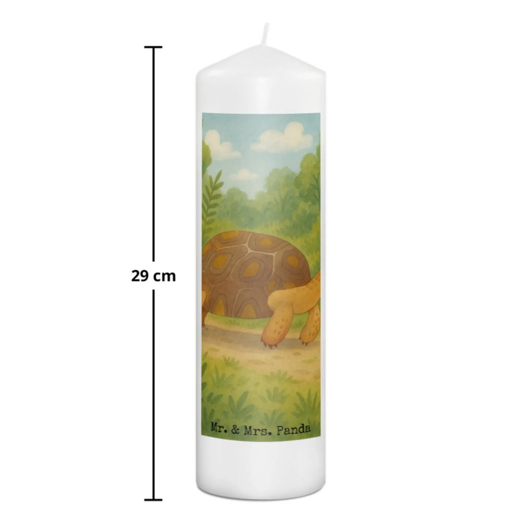 Kerze Schildkröte Marschieren Design Gartenkerze, Kerze Für Geburtstag, Kerze Für Taufe, Metall-Kerze, Outdoor-Kerze, Andachtskerze, Kerze Mit Fotoeinleger, Stearin­kerze, Grabkerze, Kerze Als Gastgeschenk, Trauerkerze, Streukerze, Kerze, Handgemachte Kerze, Bio-Kerze, Kerze Für Hochzeit, Kerze Mit Duft, Sojawachskerze, Fair-Trade-Kerze, Votivkerze, Grablicht, Kerze Für Advent, Stumpenkerzen-Set, Gedenkkerze, Kerze Ohne Duft, Tischkerze, Dinnerkerzenpaar, Duftkerze, Tafelkerze, Stumpenkerze, Laternenkerze, Kerze Für Ostern, Teelicht, Kerze Mit Gravur, Glas-Kerze, Kerze Für Weihnachten, Kerze Mit Spruch, Handgegossene Kerze, Stabkerze, Kerze Mit Motiv, Kerze Für Firmung, Kerze Mit Prägung, Kerze Mit Namensgravur, Blockkerze, Dinnerkerze, Kerze Für Kommunion, Meerestiere, Meer, Urlaub, Schildkröten, Schildkröte, Neustart, Inspiration, Abenteuer, Reiselust, Motivation, get lost, Lieblingsmensch