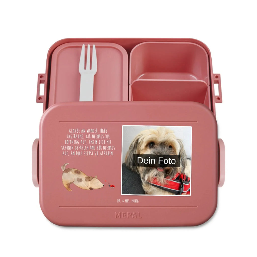 MEPAL Foto Bentobox Hund Marienkäfer Foto Bentobox, Foto Lunchbox, Foto Brotdose, Hund, Hundemotiv, Haustier, Hunderasse, Tierliebhaber, Hundebesitzer, Sprüche, Marienkäfer, Hundespruch, Hunde, Mischling, Mischlinghund