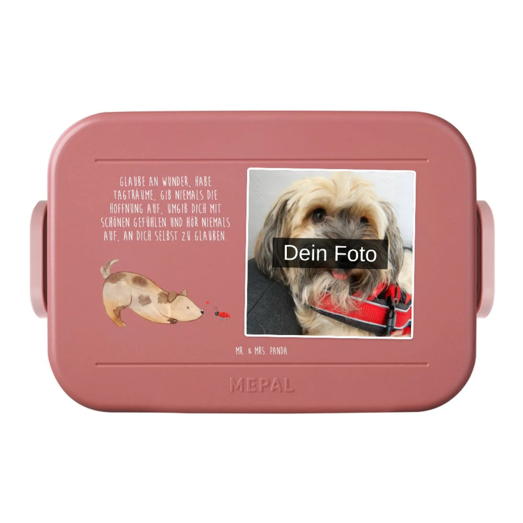 MEPAL Foto Bentobox Hund Marienkäfer Foto Bentobox, Foto Lunchbox, Foto Brotdose, Hund, Hundemotiv, Haustier, Hunderasse, Tierliebhaber, Hundebesitzer, Sprüche, Marienkäfer, Hundespruch, Hunde, Mischling, Mischlinghund