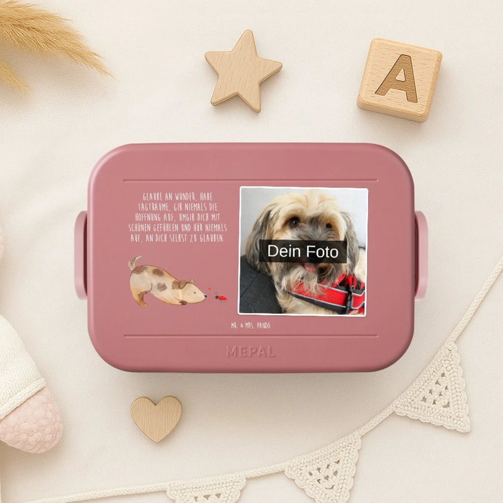 MEPAL Foto Bentobox Hund Marienkäfer Foto Bentobox, Foto Lunchbox, Foto Brotdose, Hund, Hundemotiv, Haustier, Hunderasse, Tierliebhaber, Hundebesitzer, Sprüche, Marienkäfer, Hundespruch, Hunde, Mischling, Mischlinghund