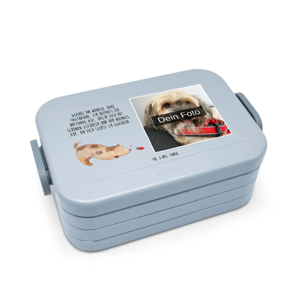 MEPAL Foto Bentobox Hund Marienkäfer Foto Bentobox, Foto Lunchbox, Foto Brotdose, Hund, Hundemotiv, Haustier, Hunderasse, Tierliebhaber, Hundebesitzer, Sprüche, Marienkäfer, Hundespruch, Hunde, Mischling, Mischlinghund