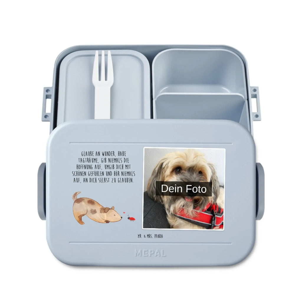 MEPAL Foto Bentobox Hund Marienkäfer Foto Bentobox, Foto Lunchbox, Foto Brotdose, Hund, Hundemotiv, Haustier, Hunderasse, Tierliebhaber, Hundebesitzer, Sprüche, Marienkäfer, Hundespruch, Hunde, Mischling, Mischlinghund